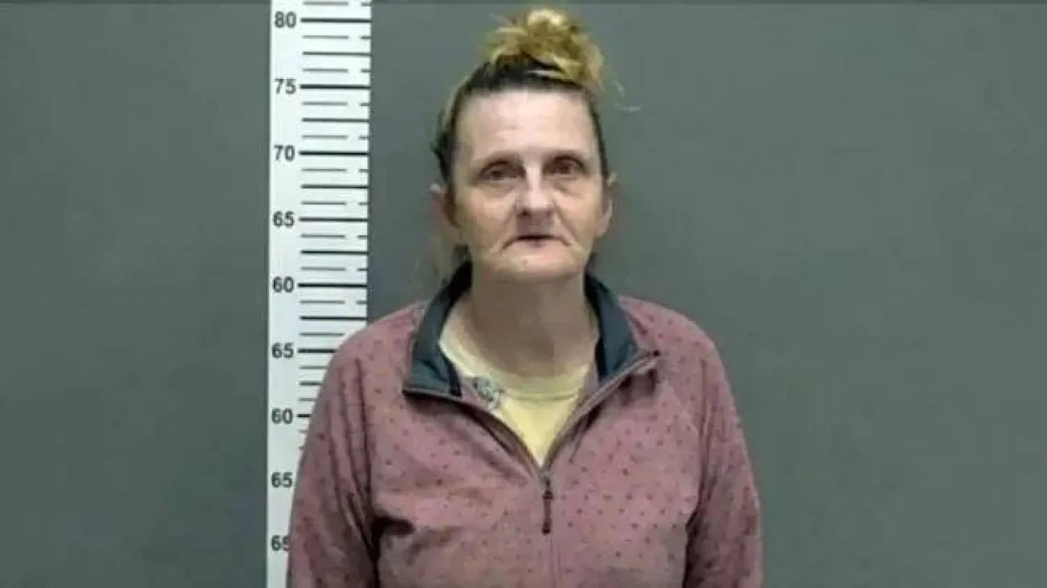 أنجيلا ليبس (قسم شرطة فارغو بولاية داكوتا الشمالية في أميركا)