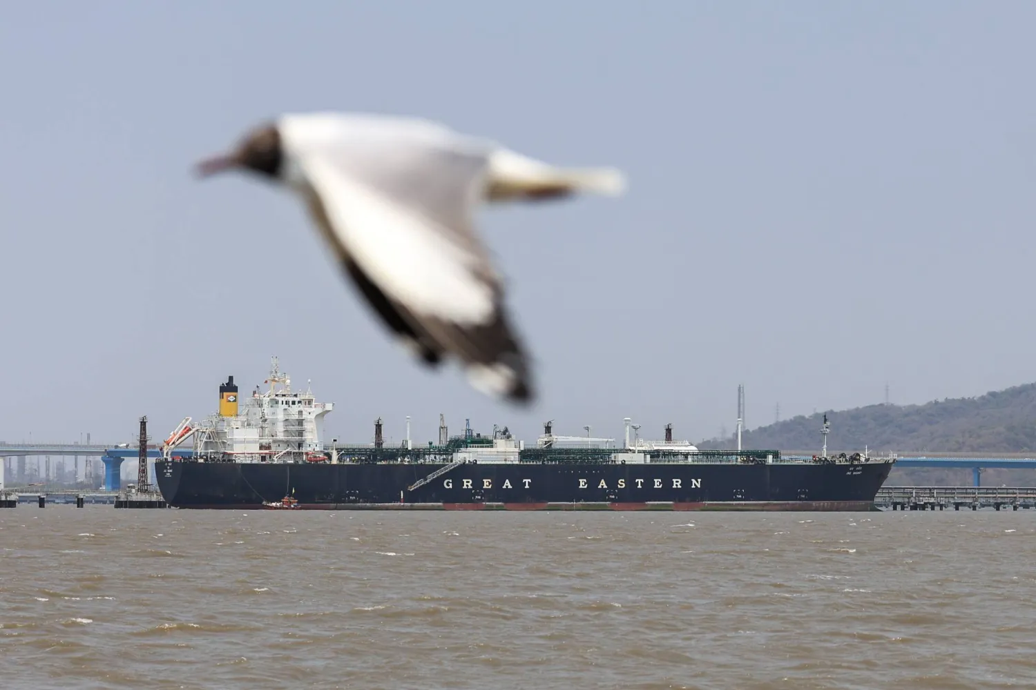 ترمب يرهن وقف النار بفتح مضيق هرمز... وغارات عنيفة على طهران (تغطية حية)