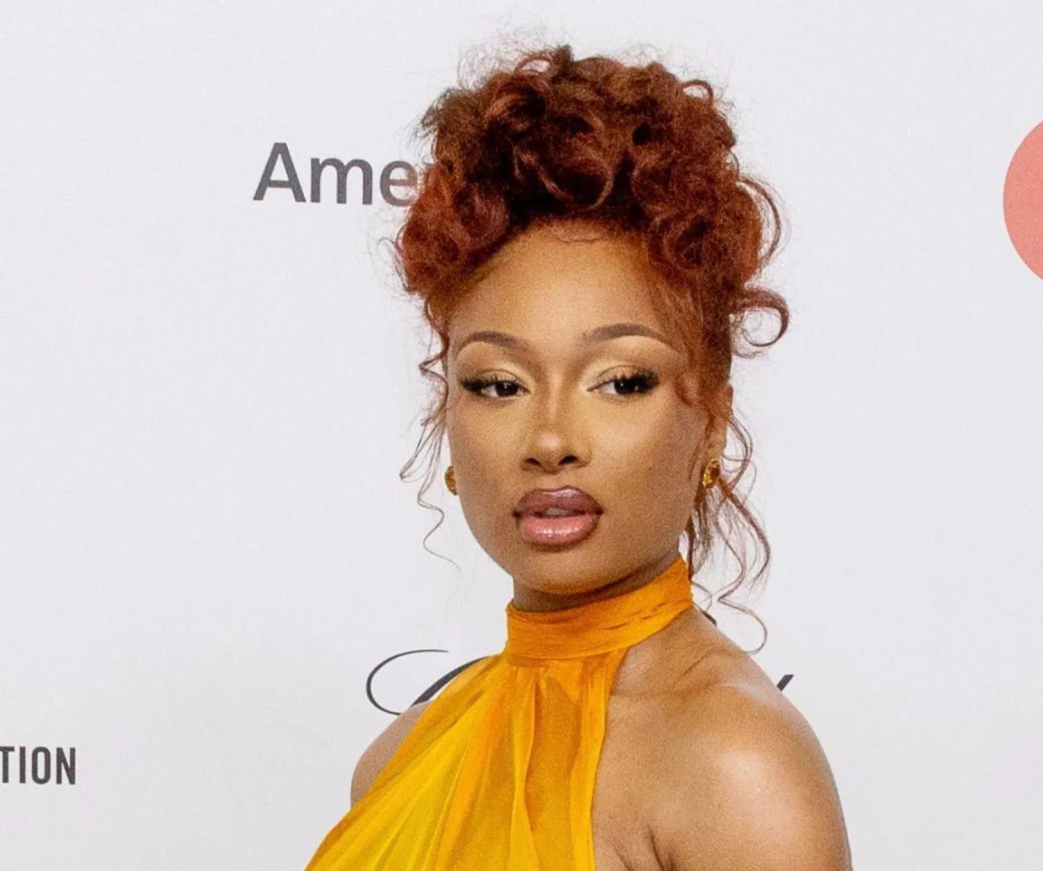 FILE - Megan Thee Stallion appears at the 33rd Annual Elton John AIDS Foundation Academy Awards Viewing Party in West Hollywood, Calif., on March 2, 2025. (Photo by Willy Sanjuan/Invision/AP, File)
