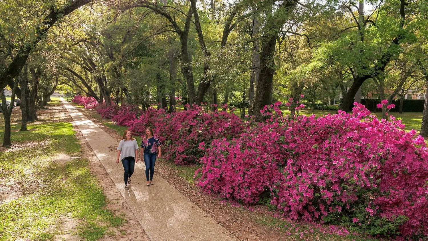 التعرض للهواء الطلق يعزز المزاج ويزيد الطاقة (جامعة رايس)
