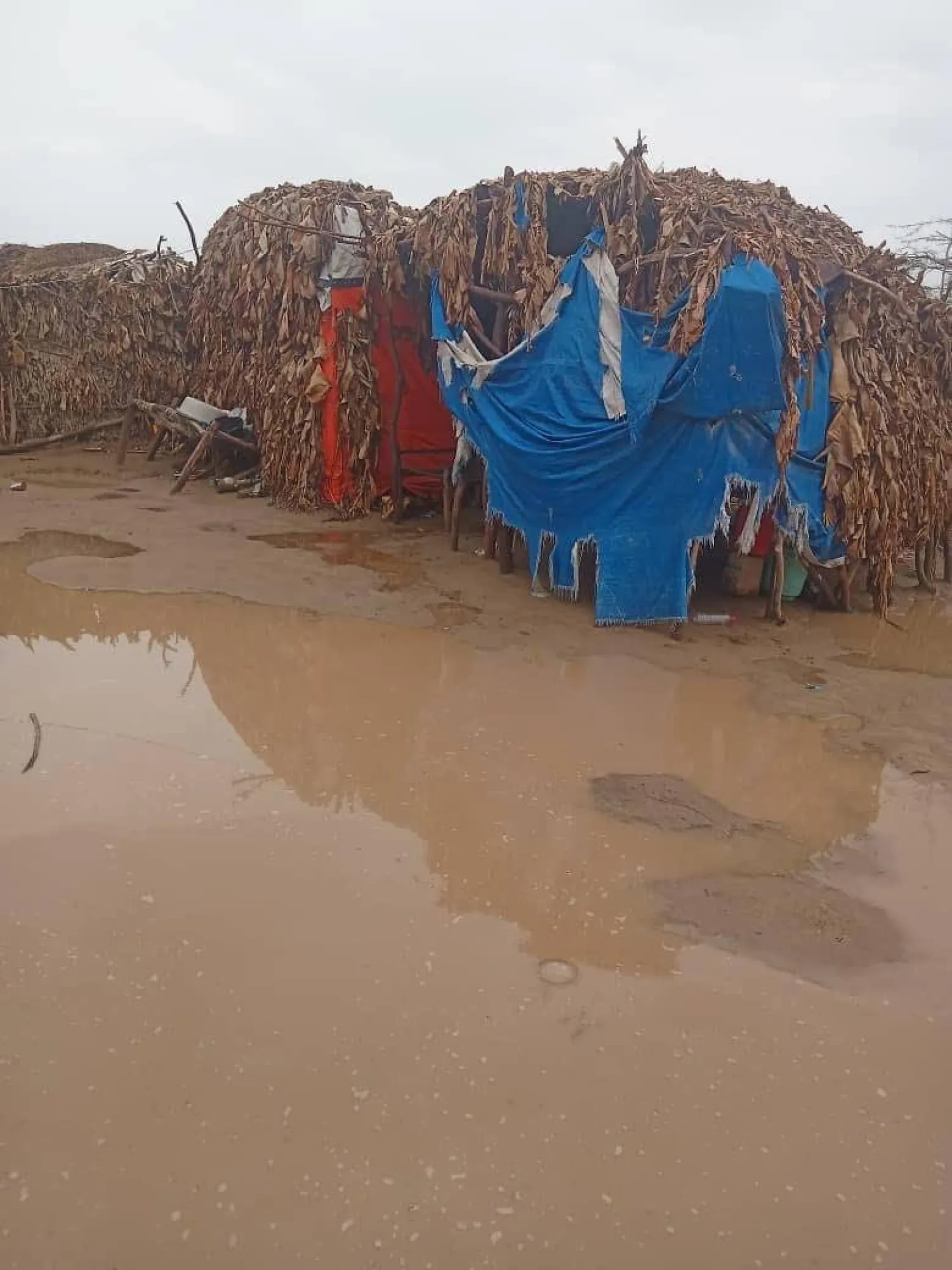 تحذيرات من استمرار غزارة الأمطار في اليمن حتى الشهر المقبل (إعلام محلي)