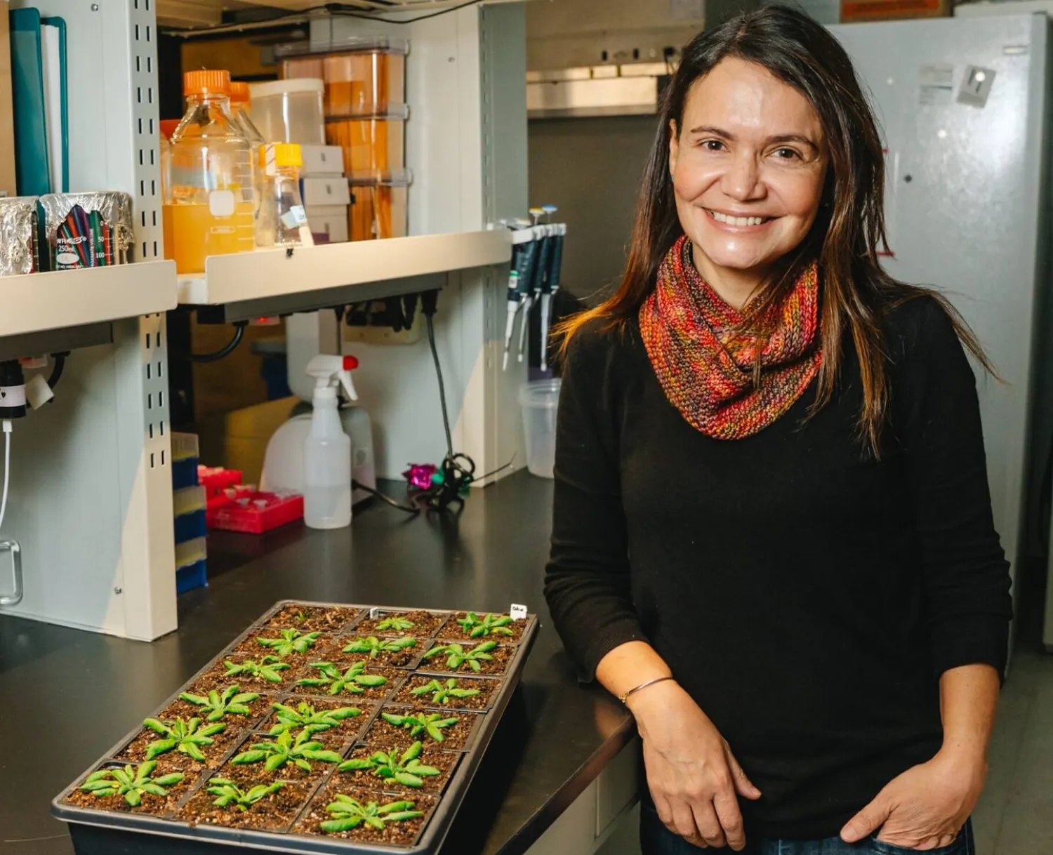 الدكتورة كريستينا أرغيسو تسعى لتطوير نباتات قادرة على مقاومة الآفات من دون أن تخسر إنتاجيتها (جامعة ولاية كولورادو)