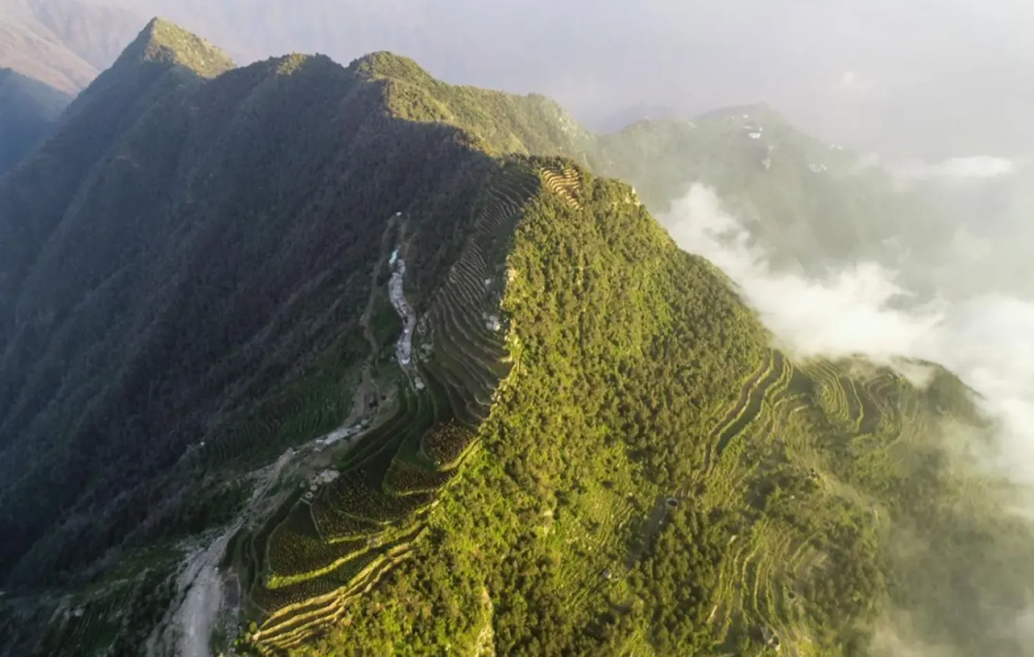 Several of the Kingdom's reserves have earned certification on the International Union for Conservation of Nature (IUCN) Green list - SPA