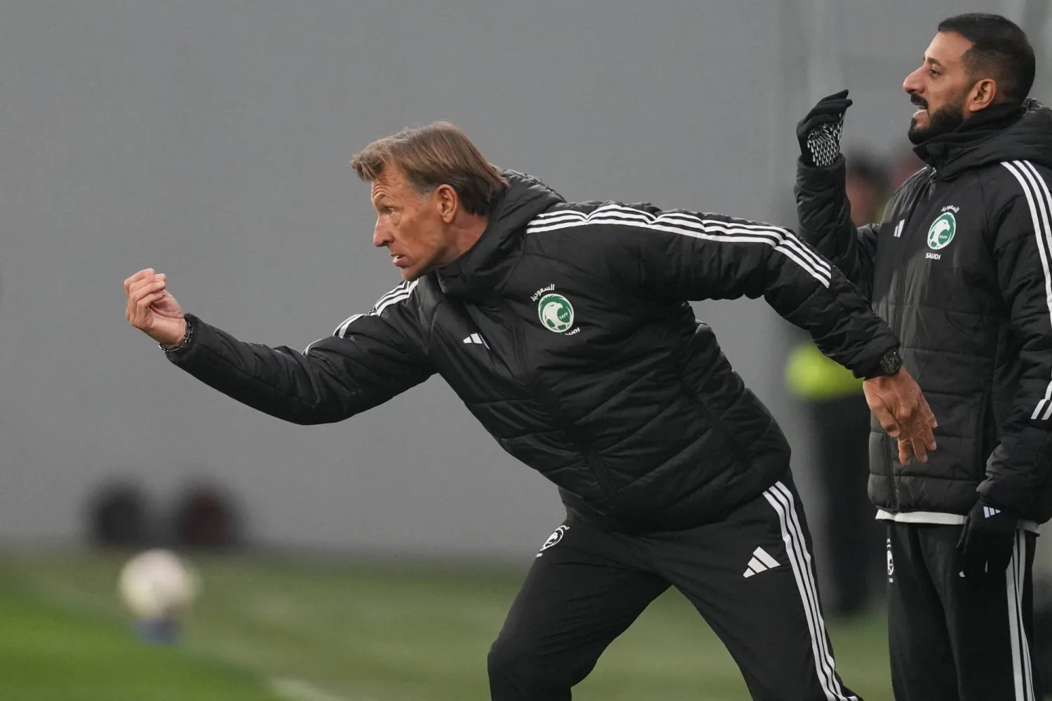 هيرفي رينارد (أ.ب)