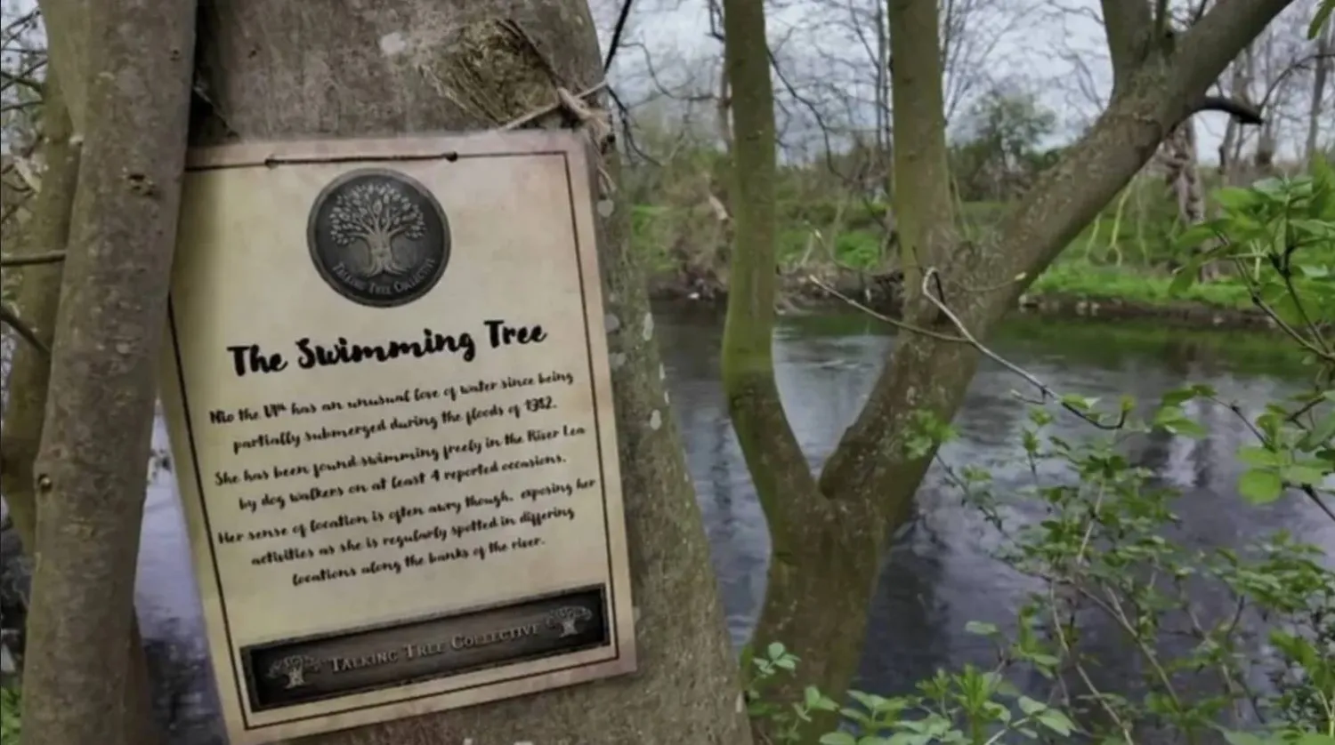 There are currently 16 trees in Hackney Marsh's which feature stories
