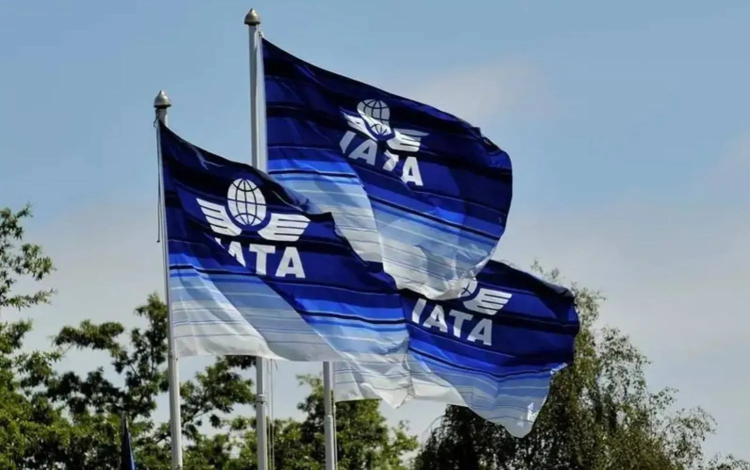 أعلام تحمل شعار الاتحاد الدولي للنقل الجوي (موقع إياتا الإلكتروني)