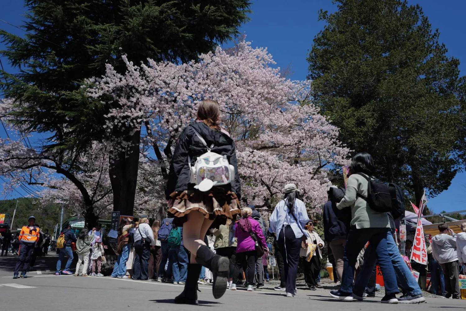 Foreign and Japanese visitors arrive at the entrance of Arakurayama Sengen Park Wednesday, April 8, 2026, in Fujiyoshida, Yamanashi Prefecture, west of Tokyo. (AP Photo/Eugene Hoshiko)