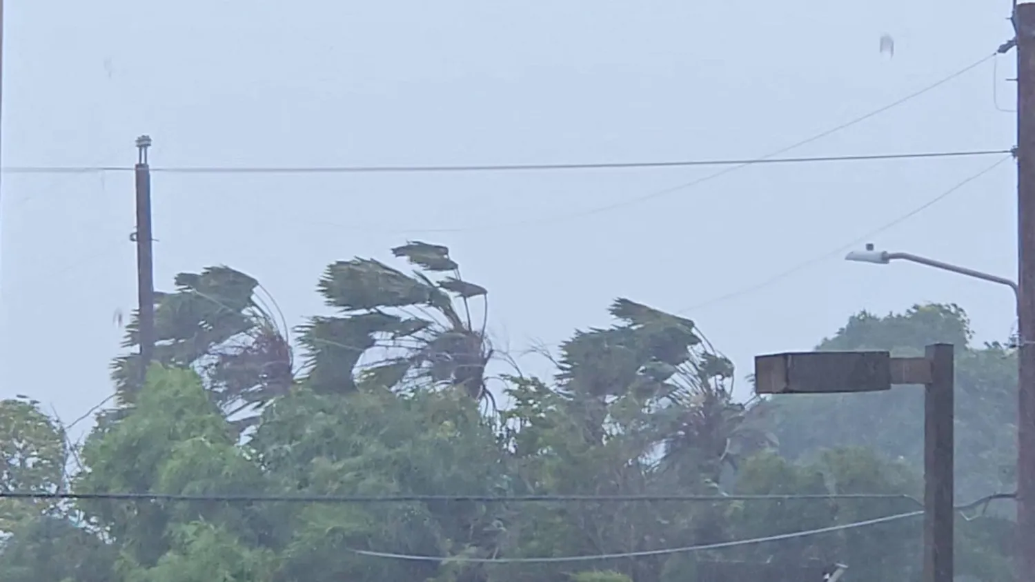 Trees sway in strong winds as Super Typhoon Sinlaku approaches, in Saipan, Northern Mariana Islands, US, April 14, 2026 in this screengrab obtained from a social media video. (Jhon Aaron Borinaga via Facebook/via Reuters)