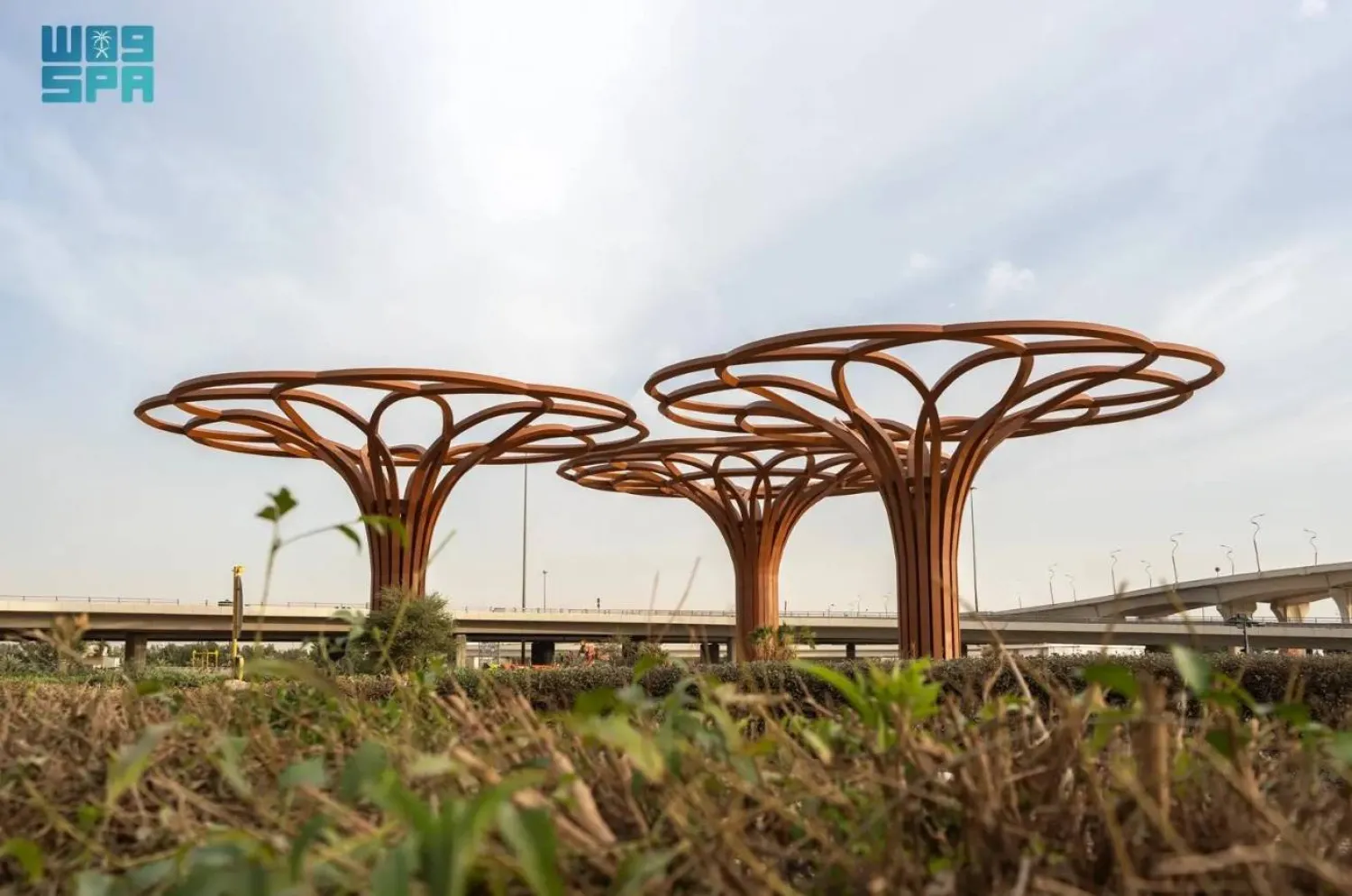 The artworks are strategically distributed across major streets, public squares, cultural centers, and key urban hubs. SPA