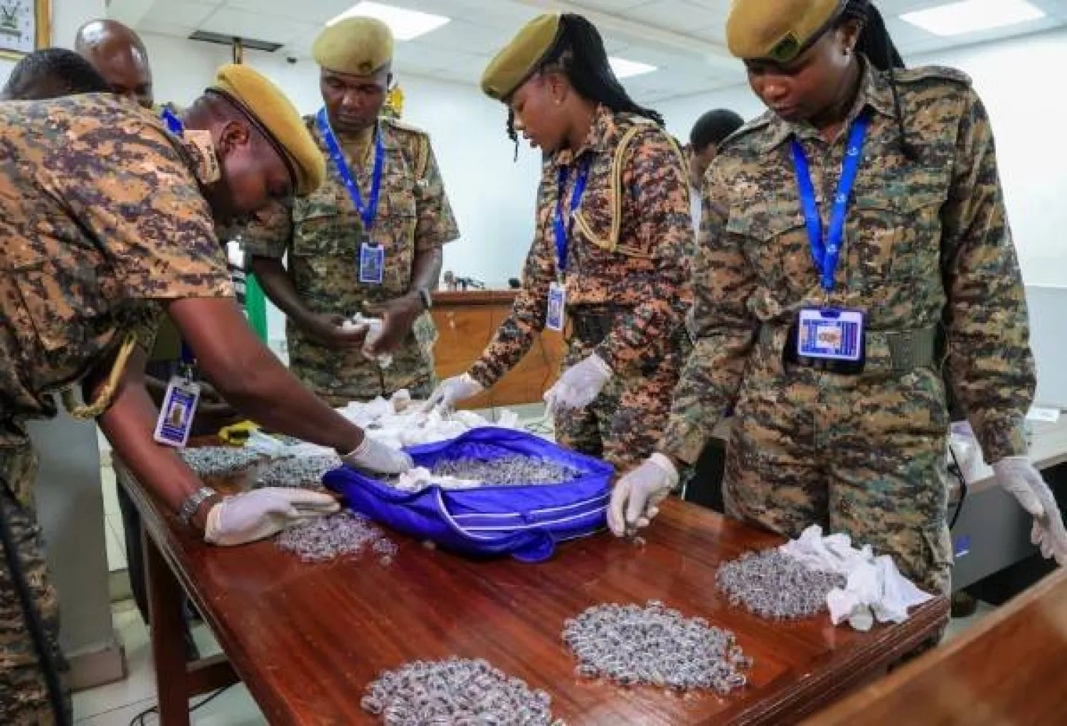 المتهم حاول تهريب أكثر من 2200 نملة حية خارج البلاد (أ.ب)