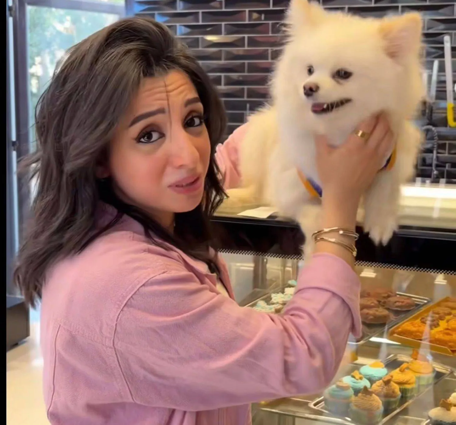 تورتة مبتكرة للاحتفال بعيد ميلاد الحيوانات الأليفة (إنستغرام)