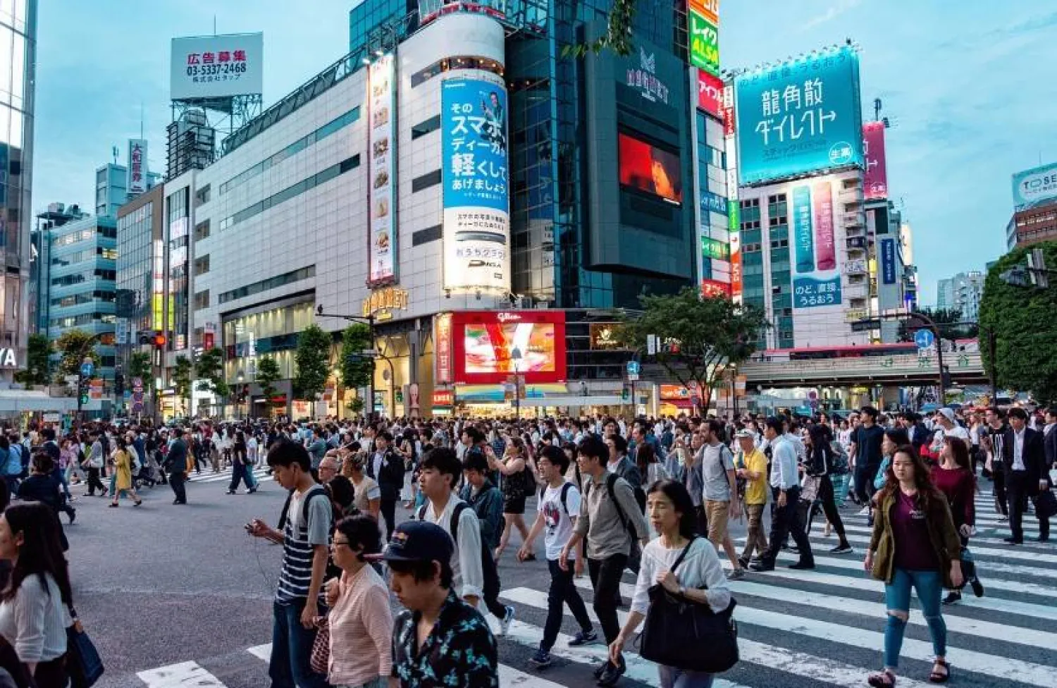 صورة عامة للعاصمة طوكيو (بكساباي)