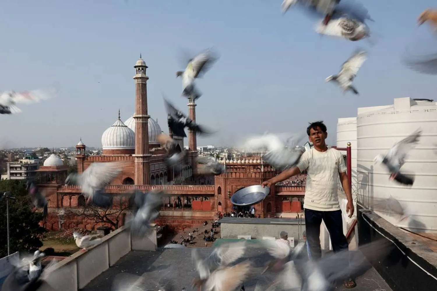  Mohammed Rashid, alias "Rambo", a kabootarbaaz (pigeon keeper) feeds his pigeons as he trains them, on the rooftop of a restaurant in the old quarters of Delhi, India, January 24, 2026. (Reuters)
