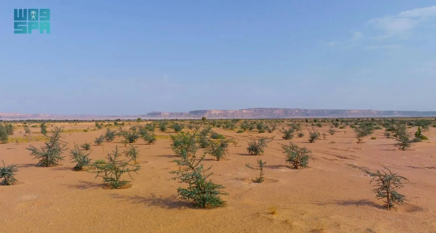 The milestone underscores the authority’s pivotal role in restoring ecosystems and enhancing their sustainability across the Kingdom. (SPA)