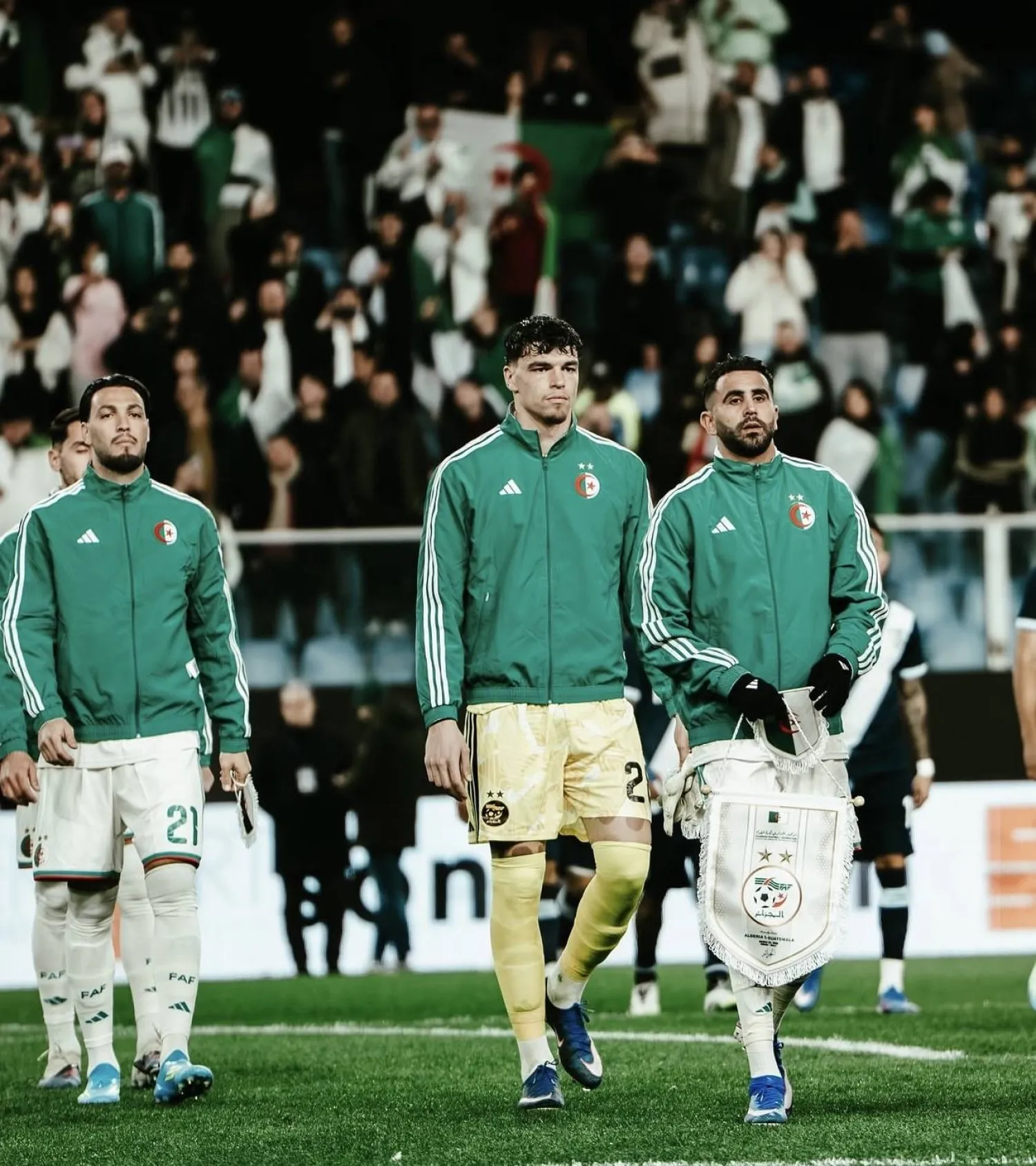 ميلفين ماستيل (حسابه في إنستغرام)