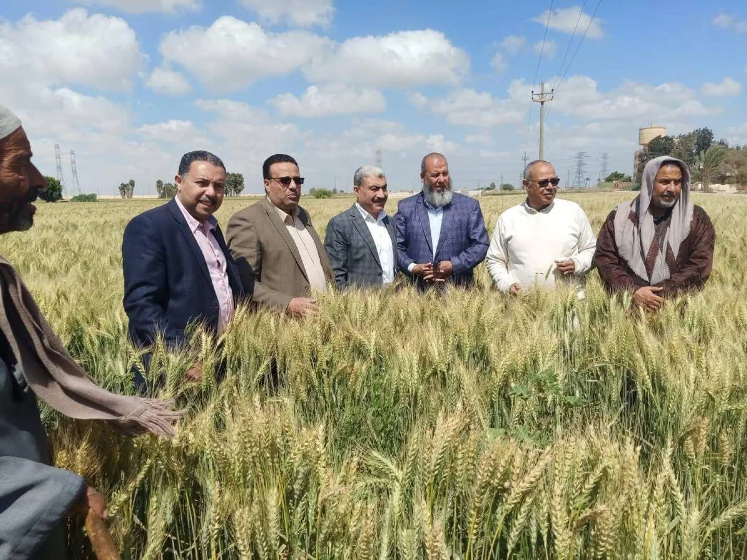 مصر تعول على زيادة حصتها من القمح المحلي لتخفيض فاتورة الاستيراد (وزارة الزراعة المصرية)