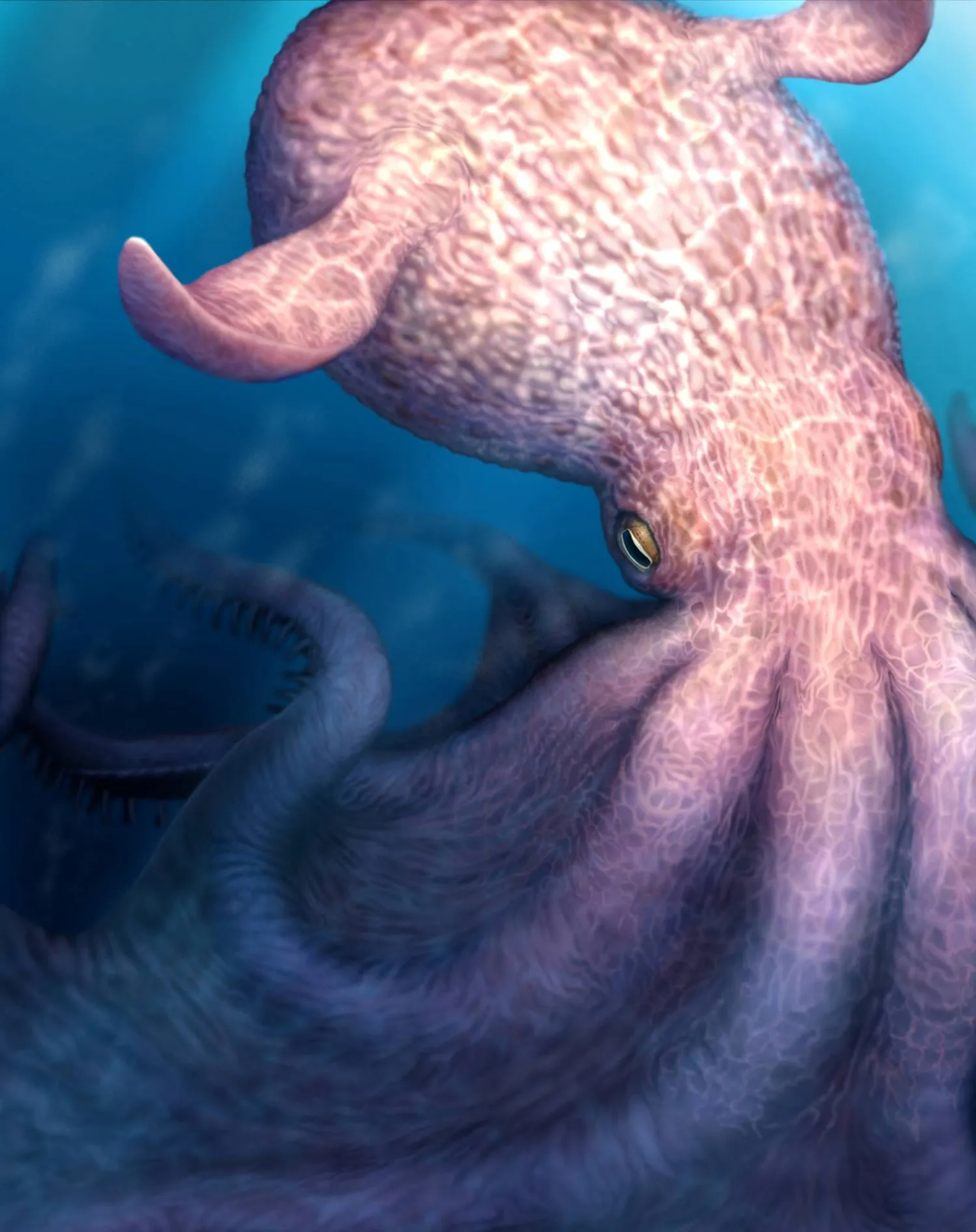 An artist's reconstruction of a finned octopus of the species Nanaimoteuthis haggarti that reached a length estimated at up to 18.6 meters (61.02 feet) and lived about 86 to 72 million years ago during the Cretaceous Period, released on April 23, 2026. Yohei Utsuki/Department of Earth and Planetary Sciences, Hokkaido University/Handout via REUTERS