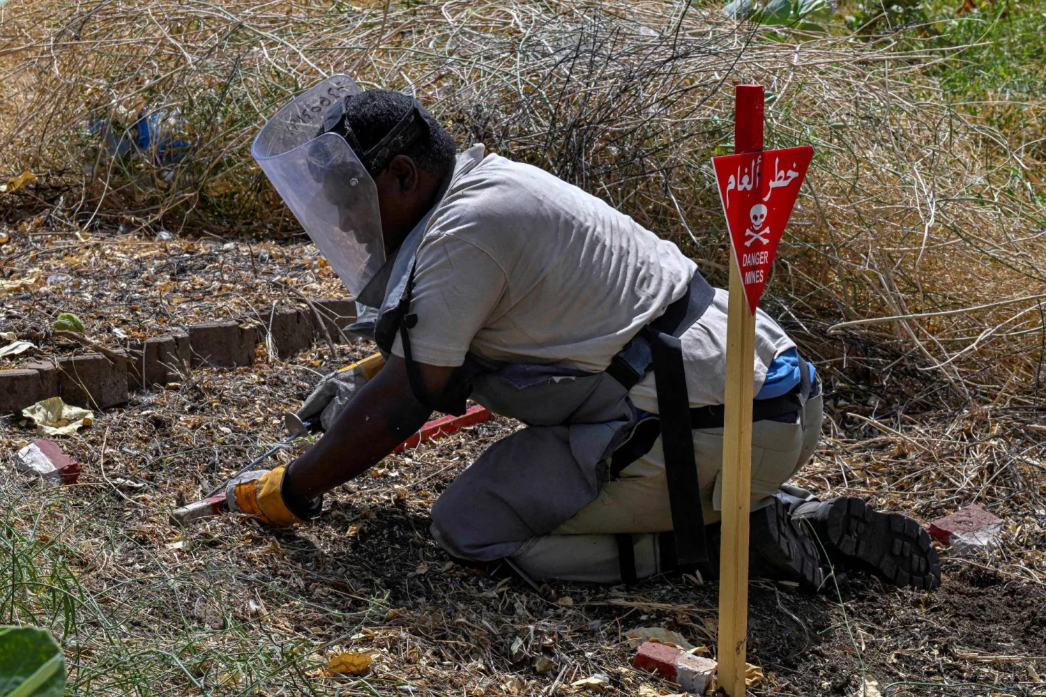 A member of the Danish Refugee Council and Jasmar Human Security Organization uses a metal probe as he searches for land mines in Al-Mogran Park in Khartoum on April 19, 2026. (AFP)