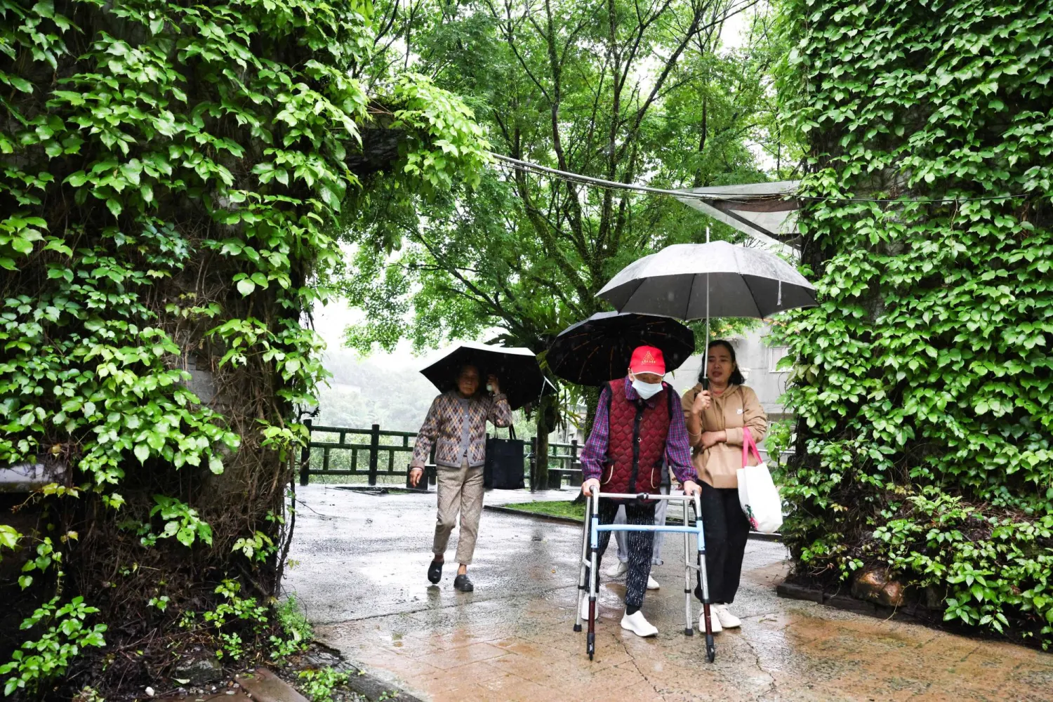 أشخاص كبار في السن يتنزهون تحت المطر في مدينة تايبيه الجديدة (أ.ف.ب)