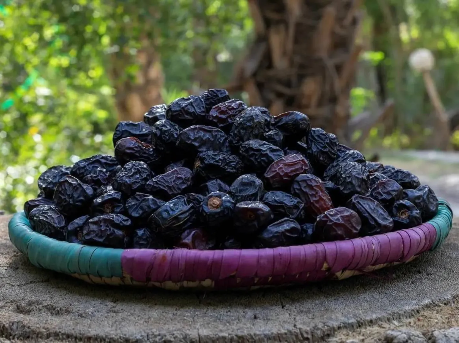 تمتلك المدينة المنورة ميزة نسبية استثنائية في إنتاج التمور وصناعاتها التحويلية (واس)