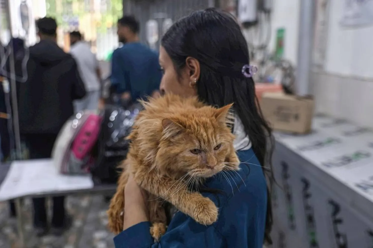 A girl holds her pet cat while waiting for treatment on World Veterinary Day at the Central Veterinary Hospital in Srinagar, 25 April 2026. (EPA)