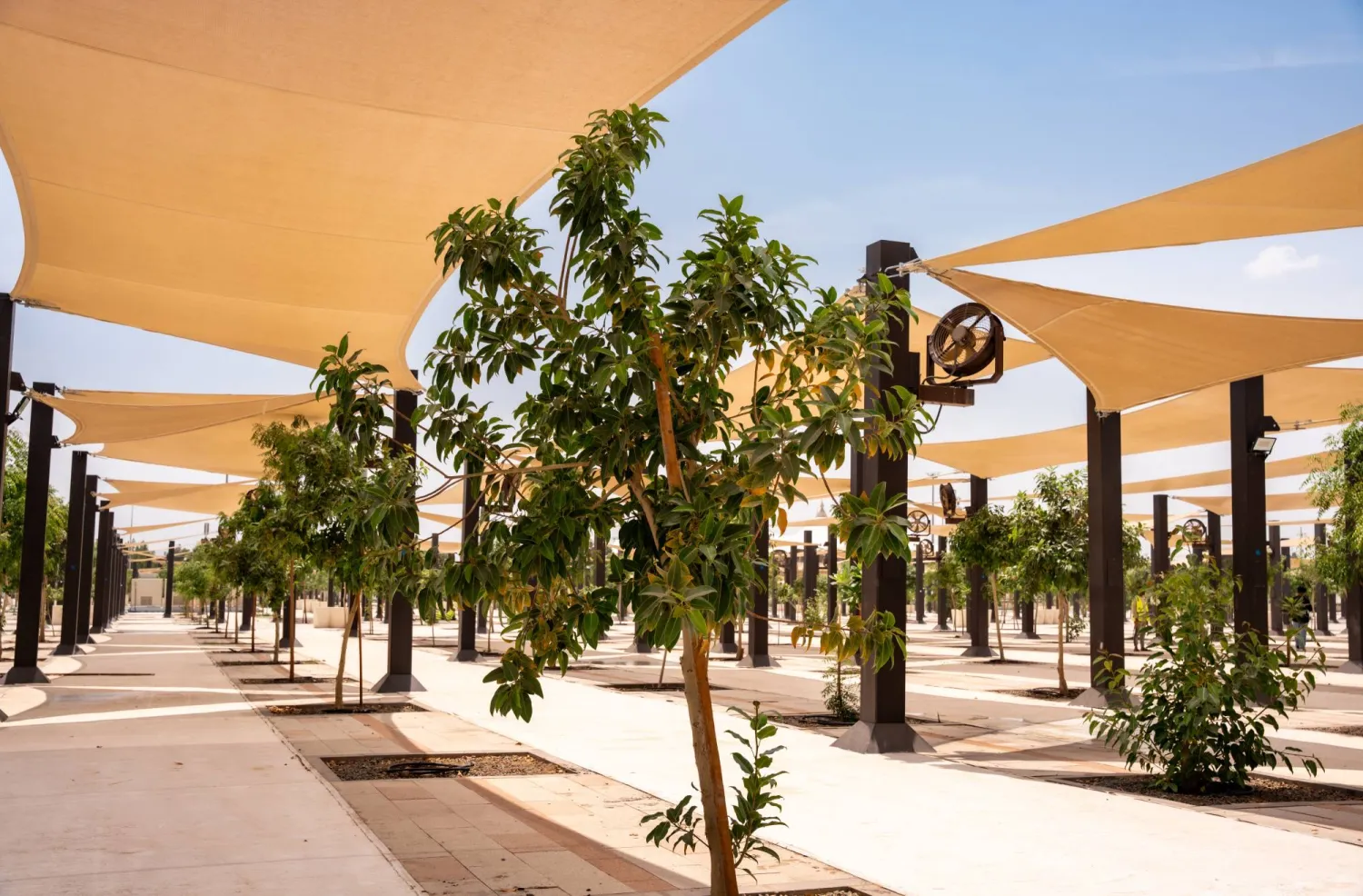 تسهم المساحات الخضراء بشكل مباشر في تلطيف المناخ وتخفيف درجات الحرارة (كدانة)