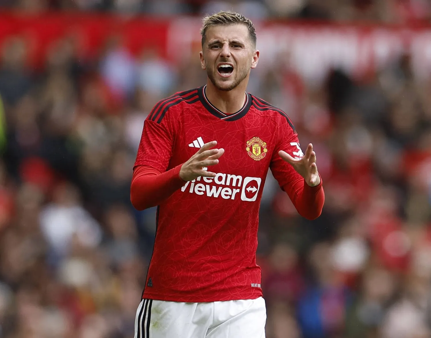 ماونت (الشرق الأوسط)