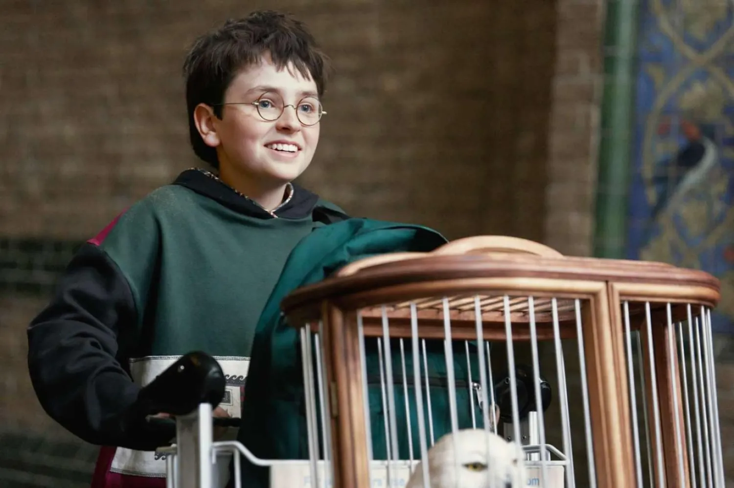 12 yaşındaki Dominic McLaughlin'in başrolde yer aldığı 8 bölümlük ilk sezon, Harry Potter ve Felsefe Taşı'ndaki (Harry Potter and the Philosopher's Stone) olayları ele alacak (HBO)