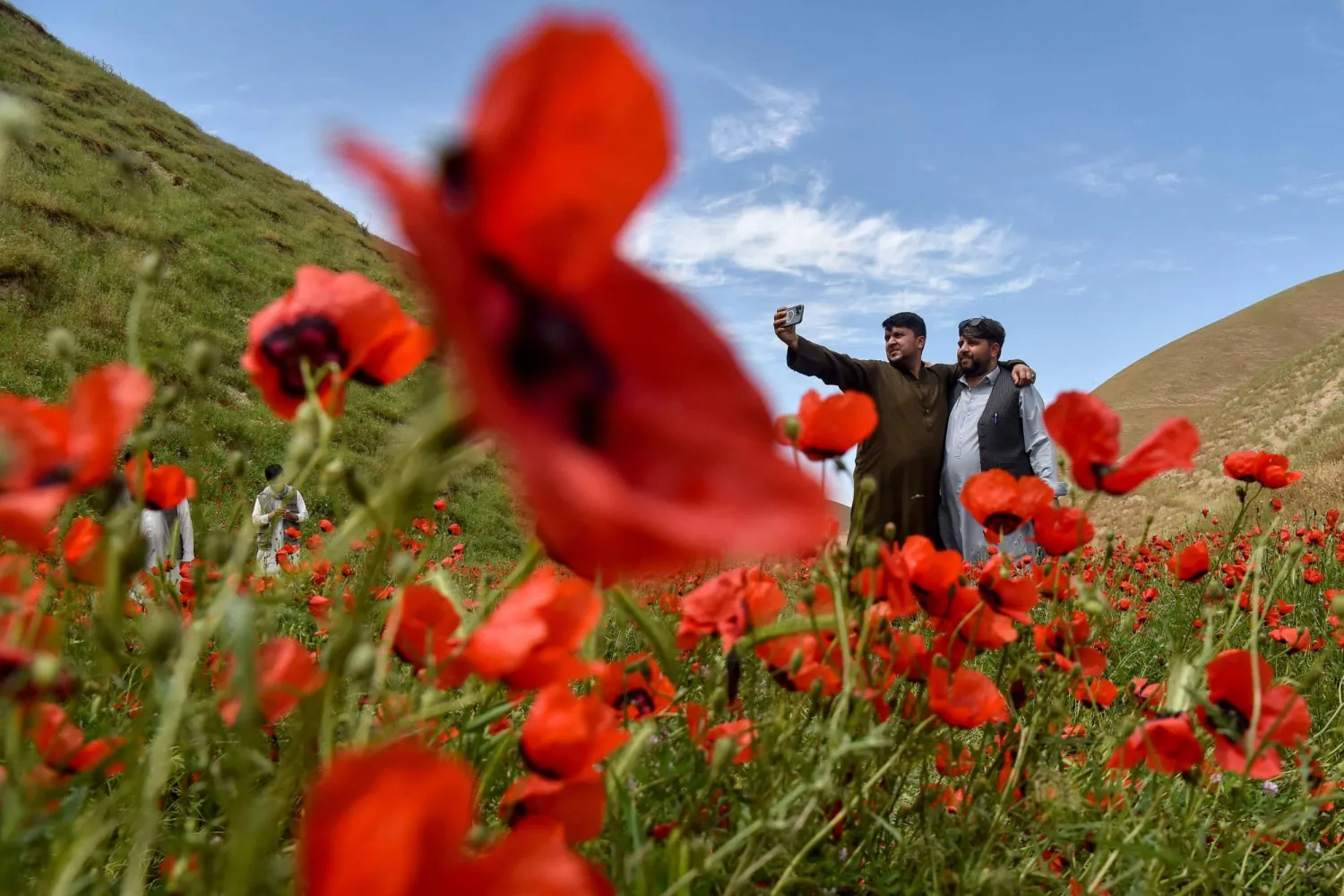 This photograph taken on April 24, 2026 shows Afghan men taking a selfie as they stand among the common poppy flowers on a hillside in the Jalayer Valley of Northern Afghanistan’s Shirin Tagab district. (AFP) 