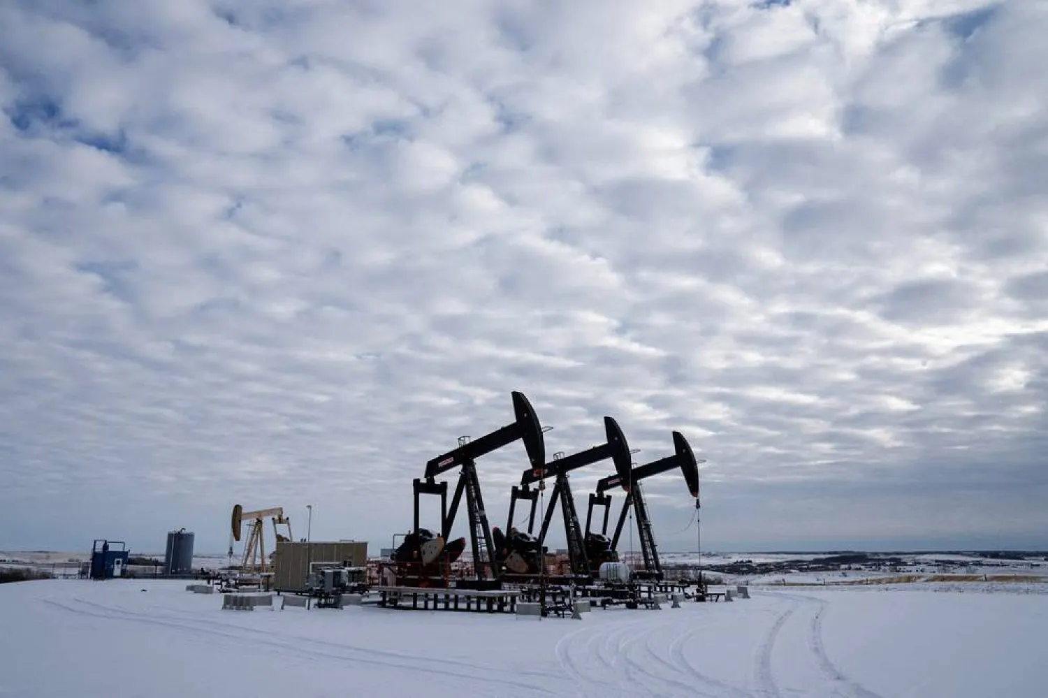 Oil pumpjacks operating in a farmer’s field near Calgary, Alberta, Canada, November 26, 2025. (Reuters)