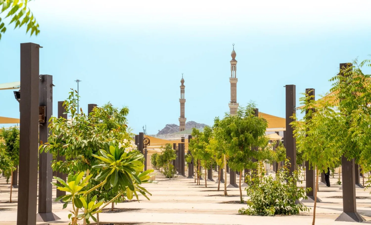Green spaces tripled by planting of 40,000 trees to reduce heat stress (Kidana)