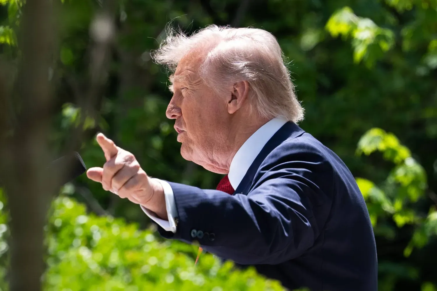 ABD Başkanı Donald Trump (EPA)