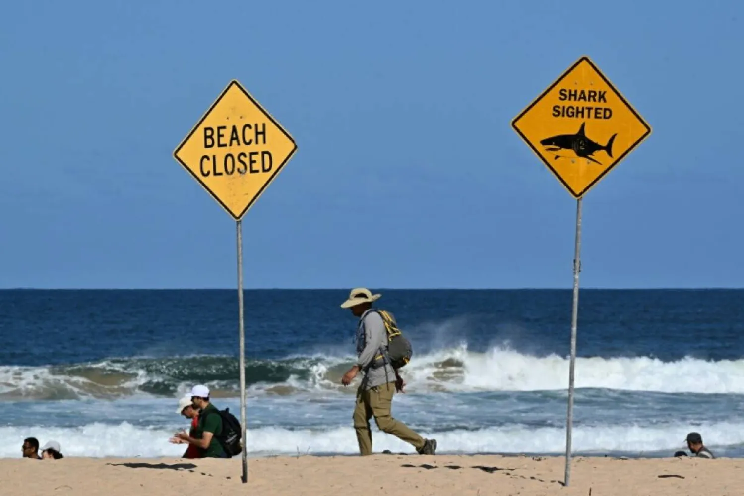 State authorities ‌advised people ‌to take extra caution in the water at ‌Rottnest Island, a popular tourist ‌destination. (AFP file)