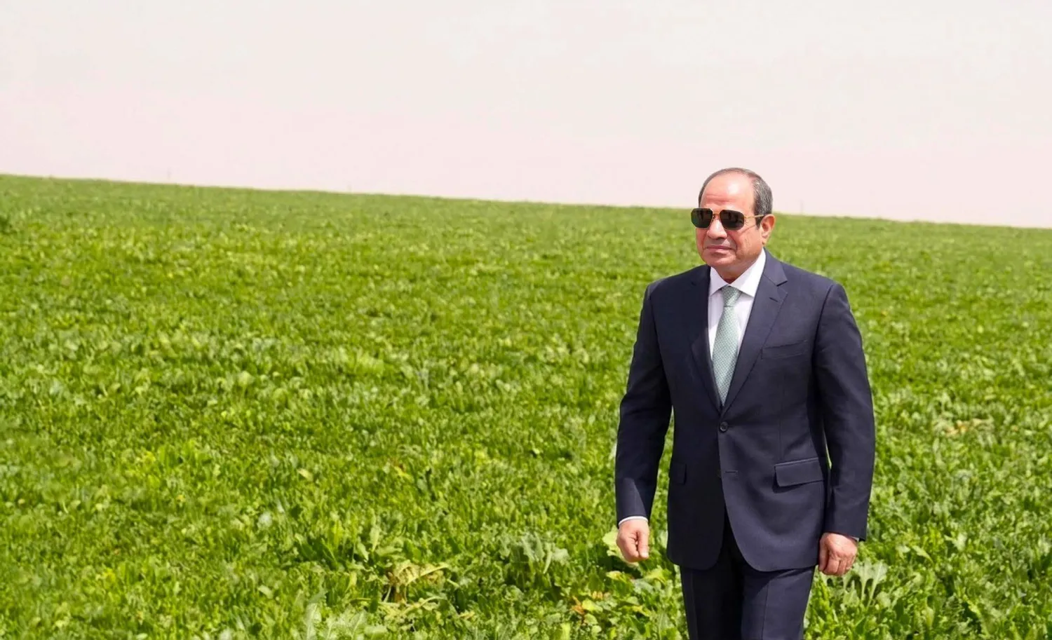 الرئيس المصري عبد الفتاح السيسي خلال افتتاح مشروع «الدلتا الجديدة» (الرئاسة المصرية)