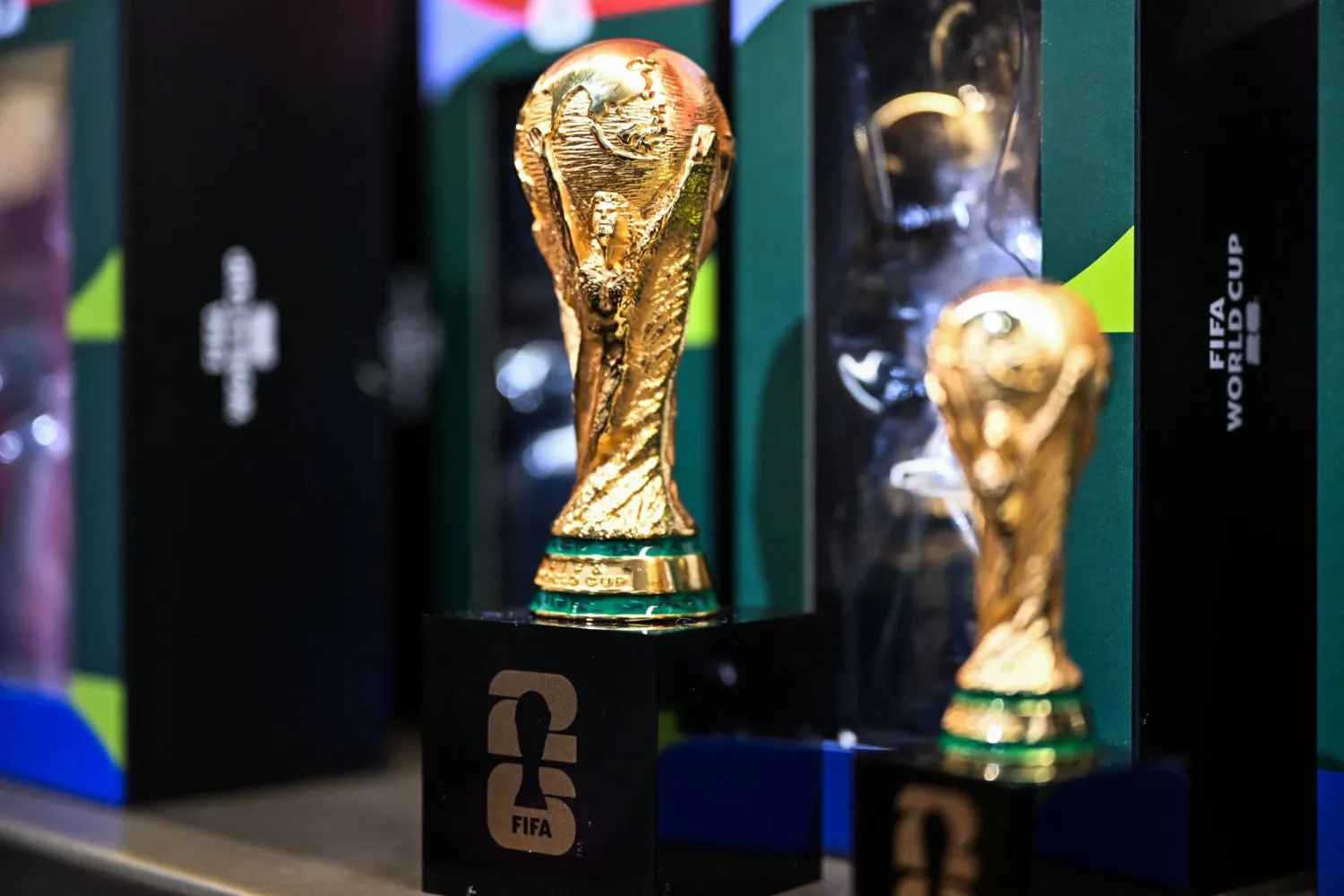 تمثل كأس العالم ذروة كرة القدم والجائزة القصوى التي يحلم كل لاعب شاب بالفوز بها (أ.ف.ب)