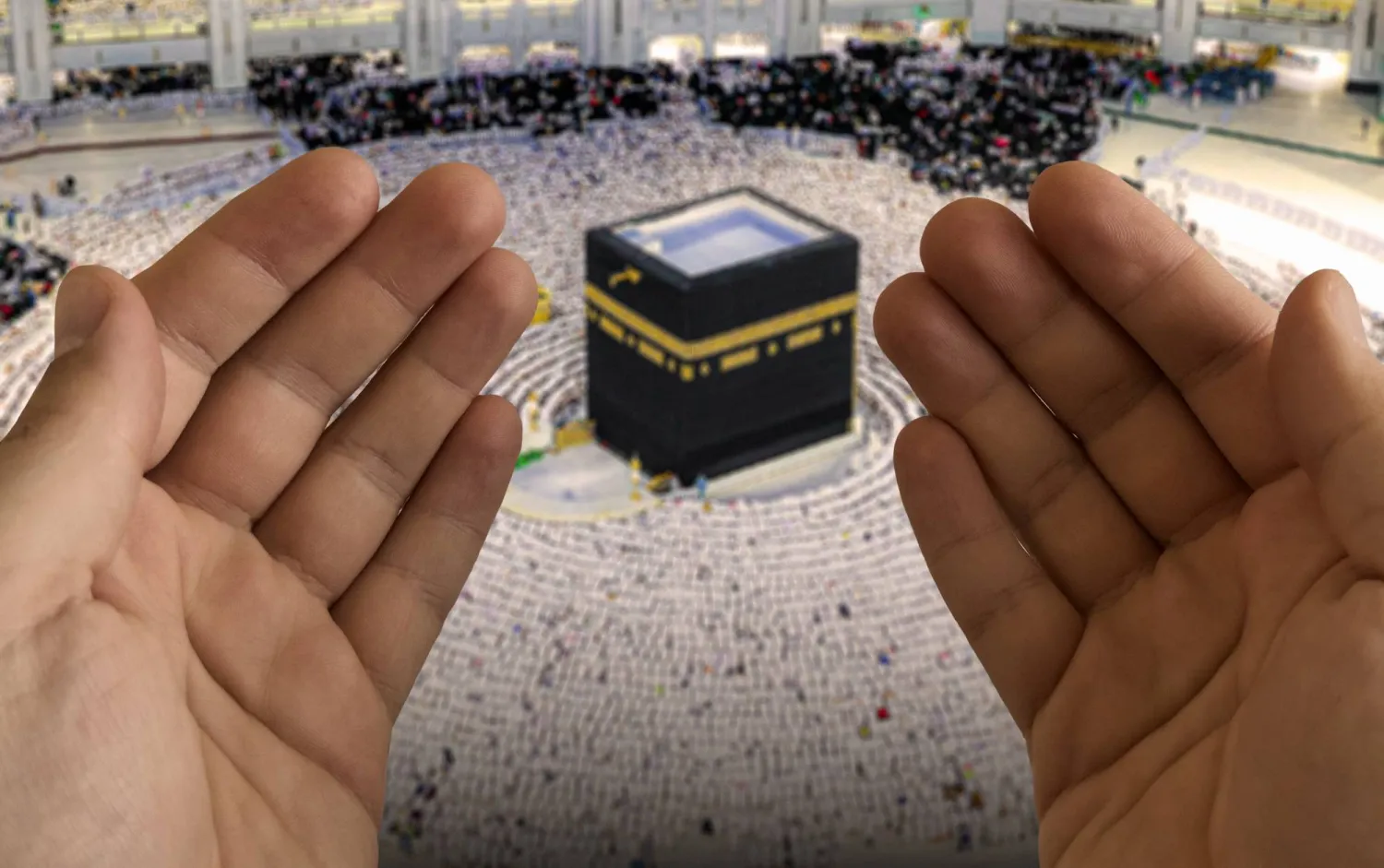 «حِج بصحة»... دليل وقائي لصحة الحجاج