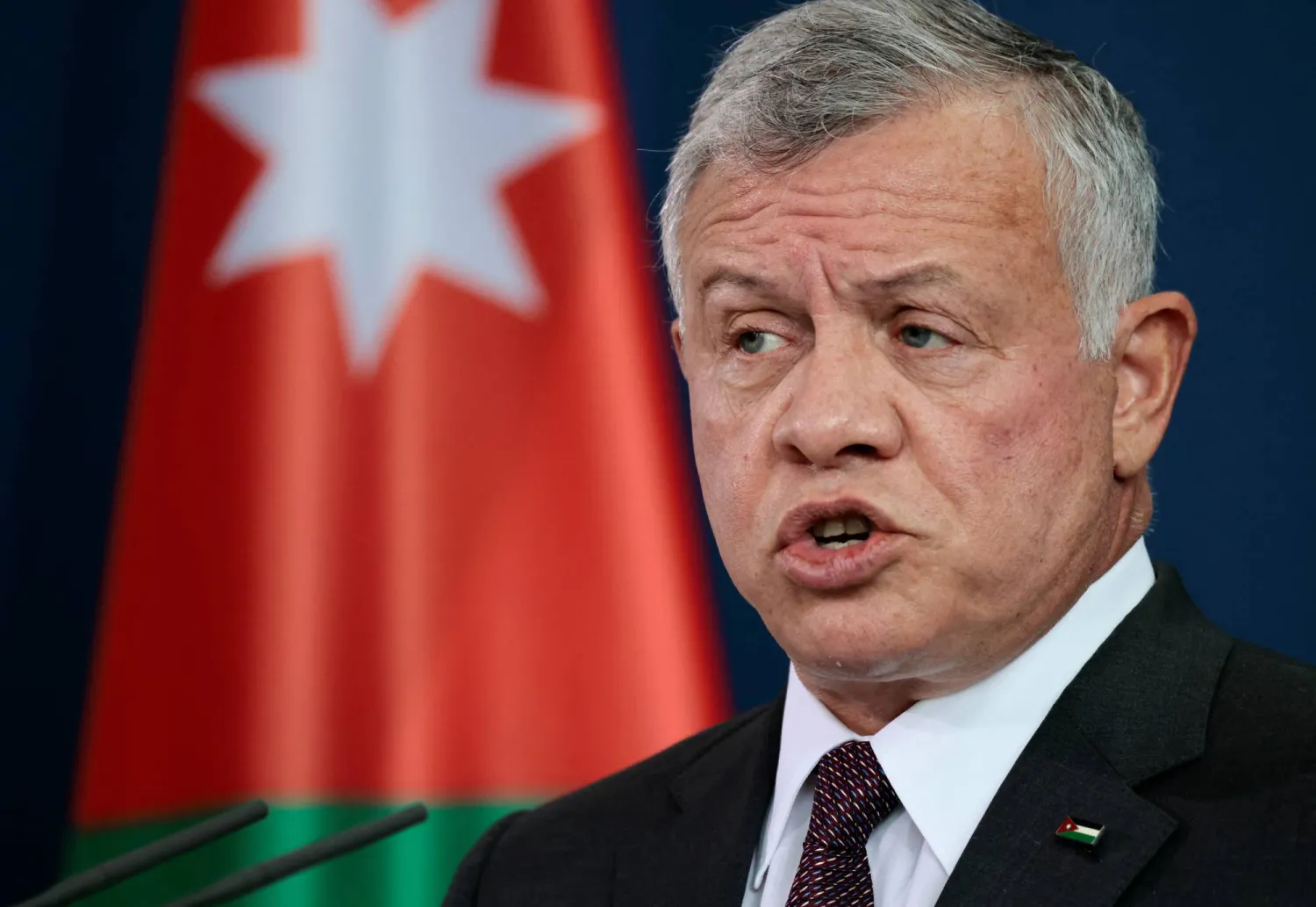 العاهل الأردني الملك عبد الله الثاني (رويترز)