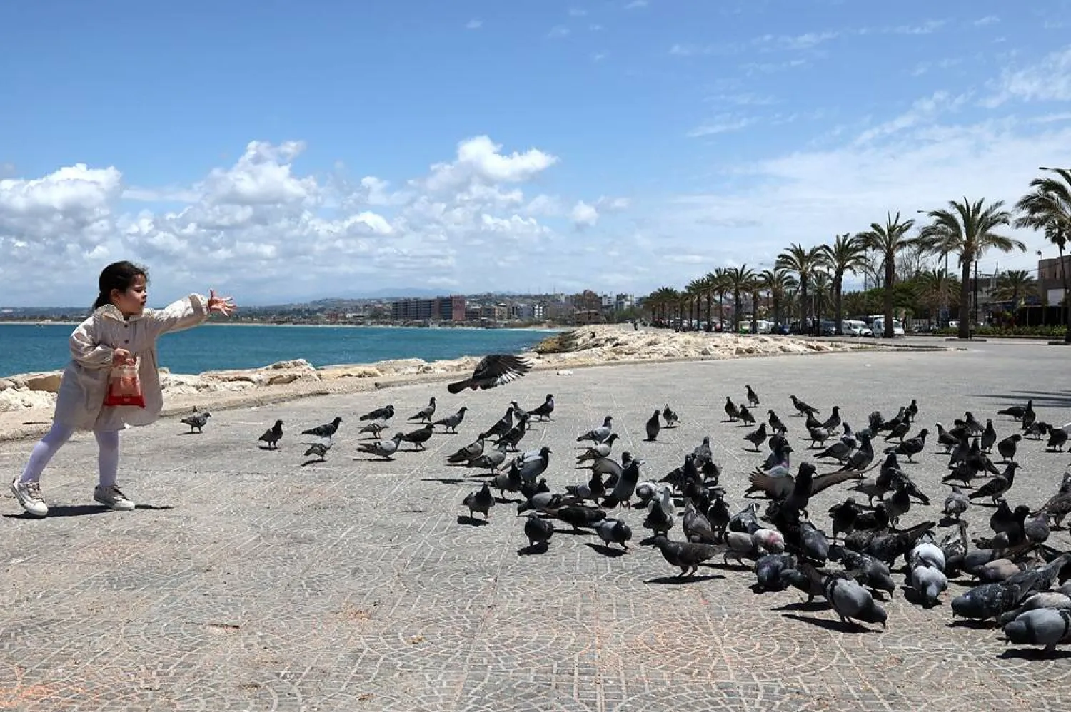Palestinian girl Ilan, 4, feeds pigeons at the Flag Square in the coastal city of Tyre, southern Lebanon, 20 May 2026. (EPA)