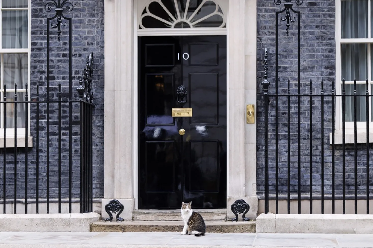 Larry, the Downing Street cat, sits outside the British Prime Minister's official residence at 10 Downing Street in London, Britain, 11 May 2026. (EPA) 