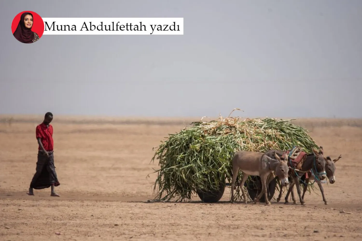Batı'nın Afrika Boynuzu'na olan ilgisi, istikrarsız bölgeleri yönetmek için yeni bir model oluşturma girişimi olarak görülebilir (Reuters)