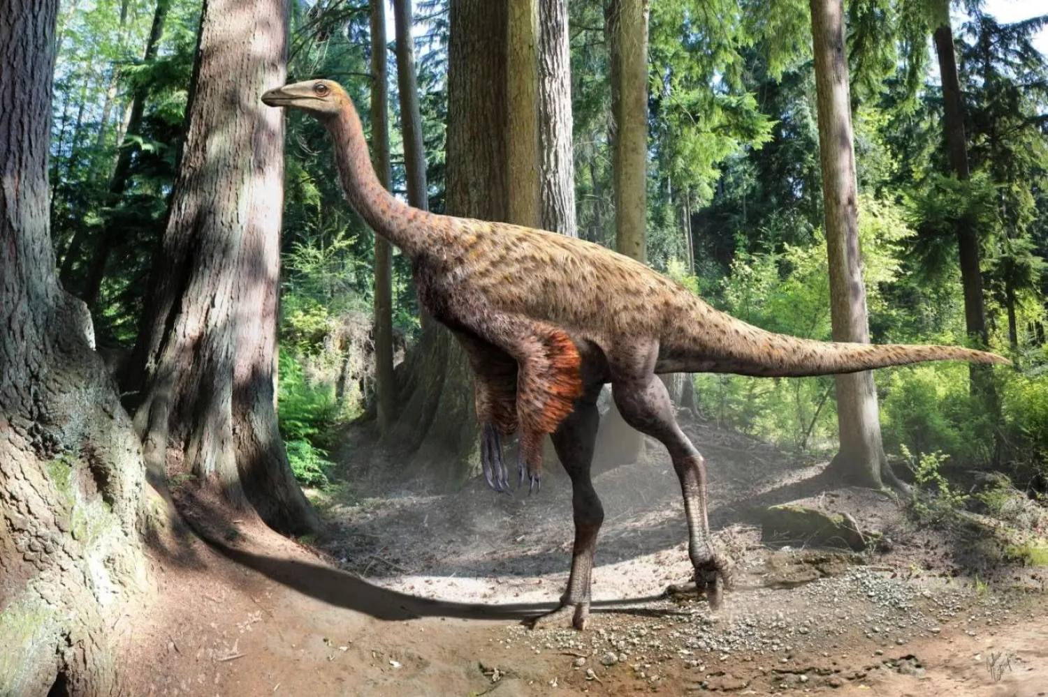 Ornitomimozor illüstrasyonu (Julius Csotonyi / Alberta Üniversitesi)