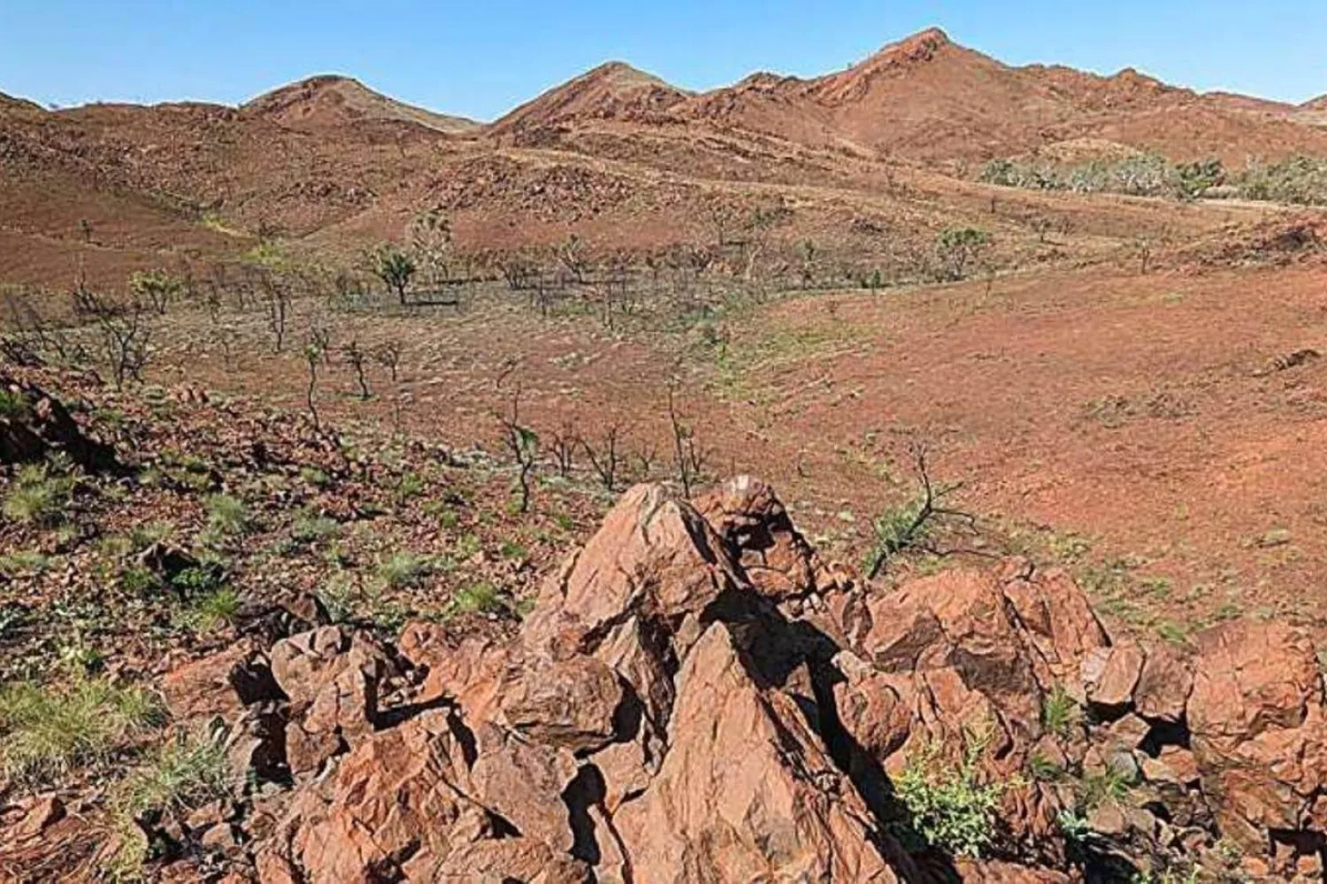 Pilbara'daki Kuzey Kutbu Kubbesi kayalıkları (Curtin Üniversitesi)