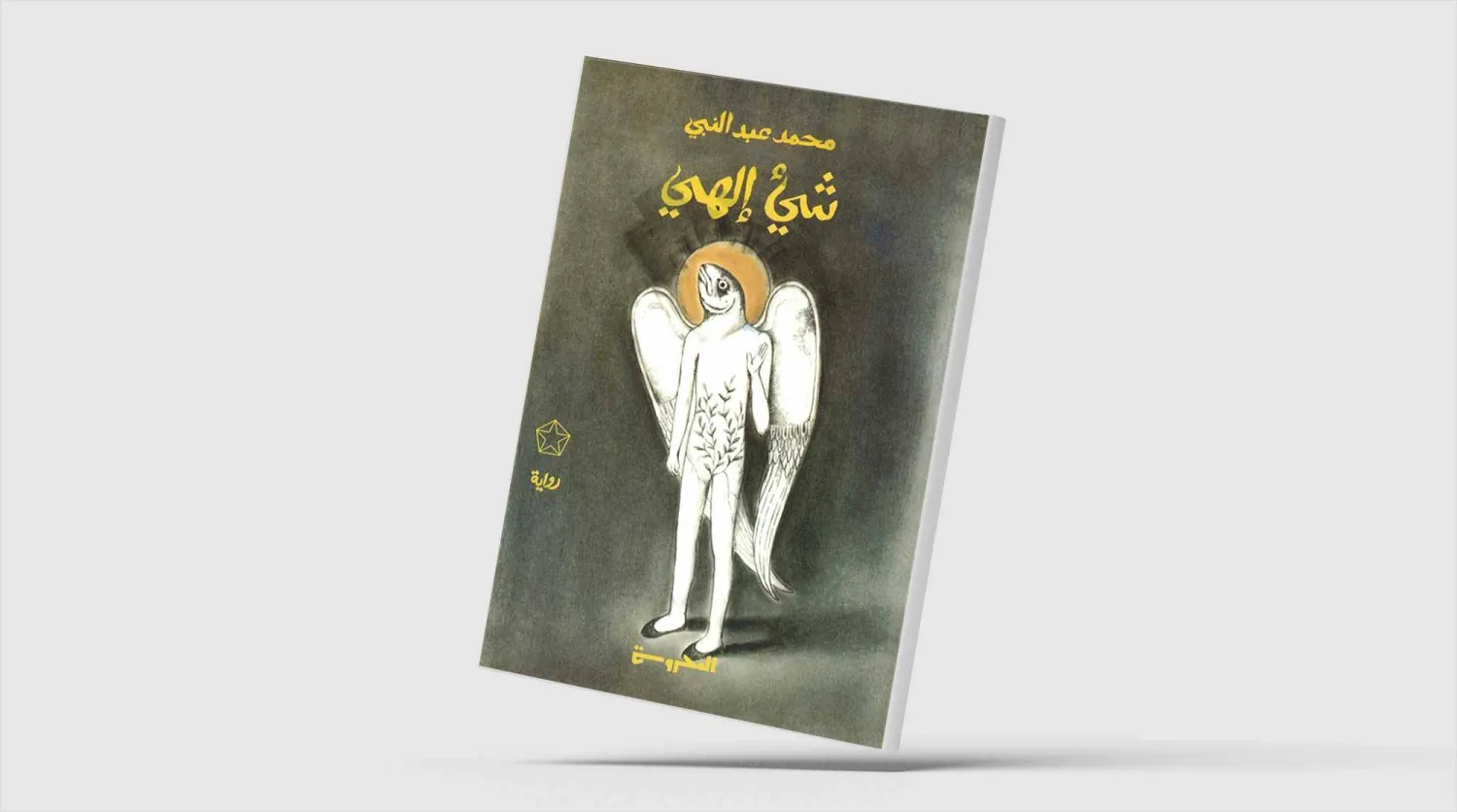 اللعب على وتر الحدود روائيّاً