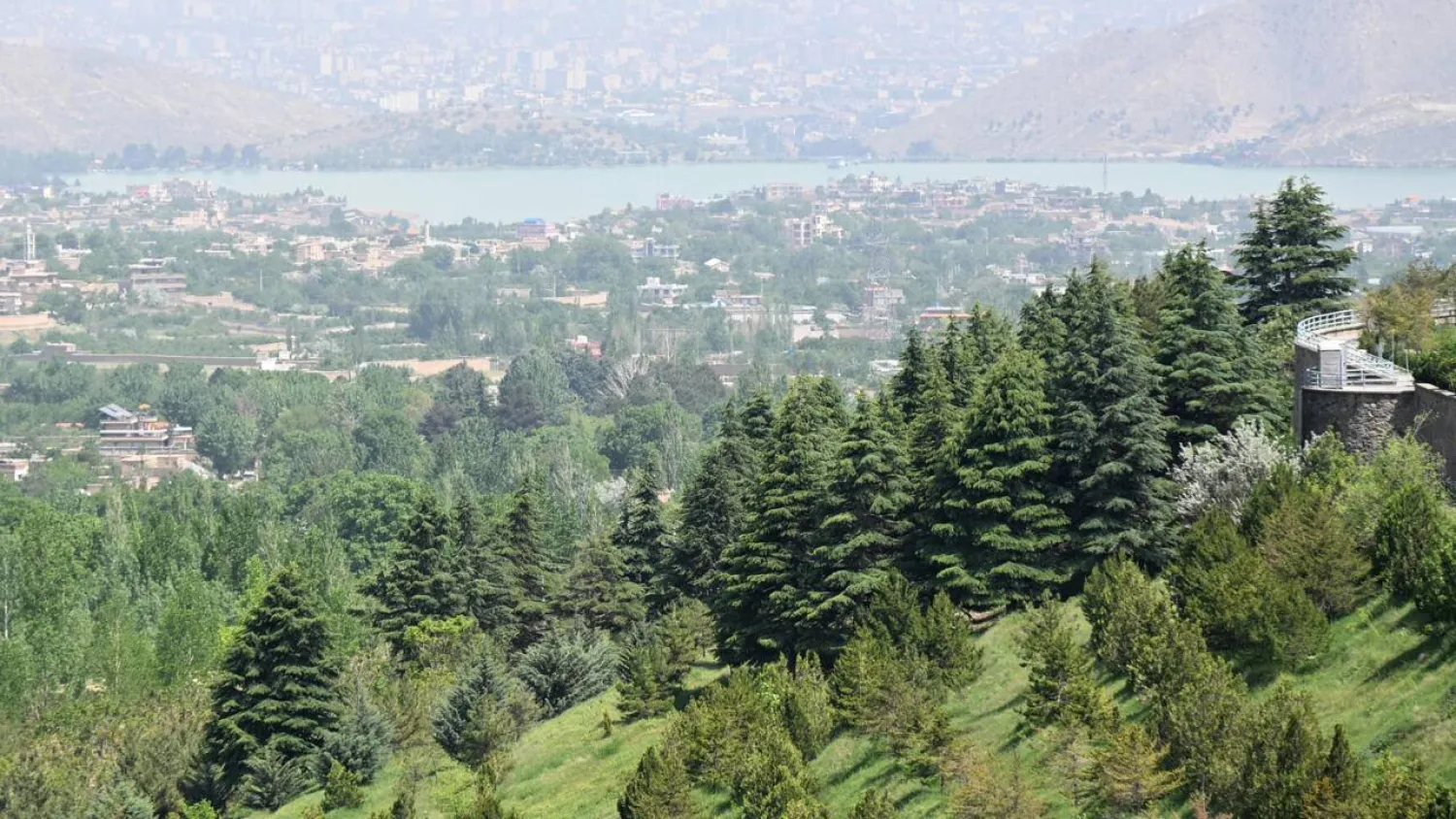 A forest near Qargha lake in Paghman district, Kabul province. Wakil KOHSAR / AFP
