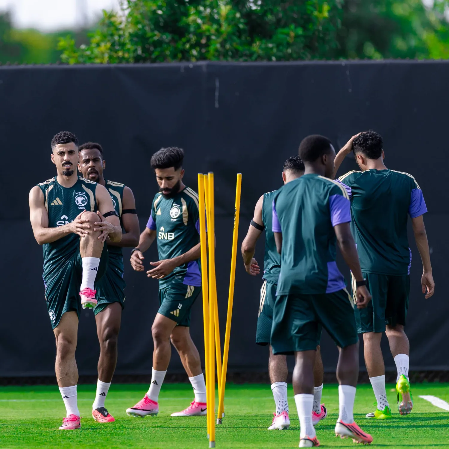 التحضيرات على قدم وساق في الأخضر (المنتخب السعودي)