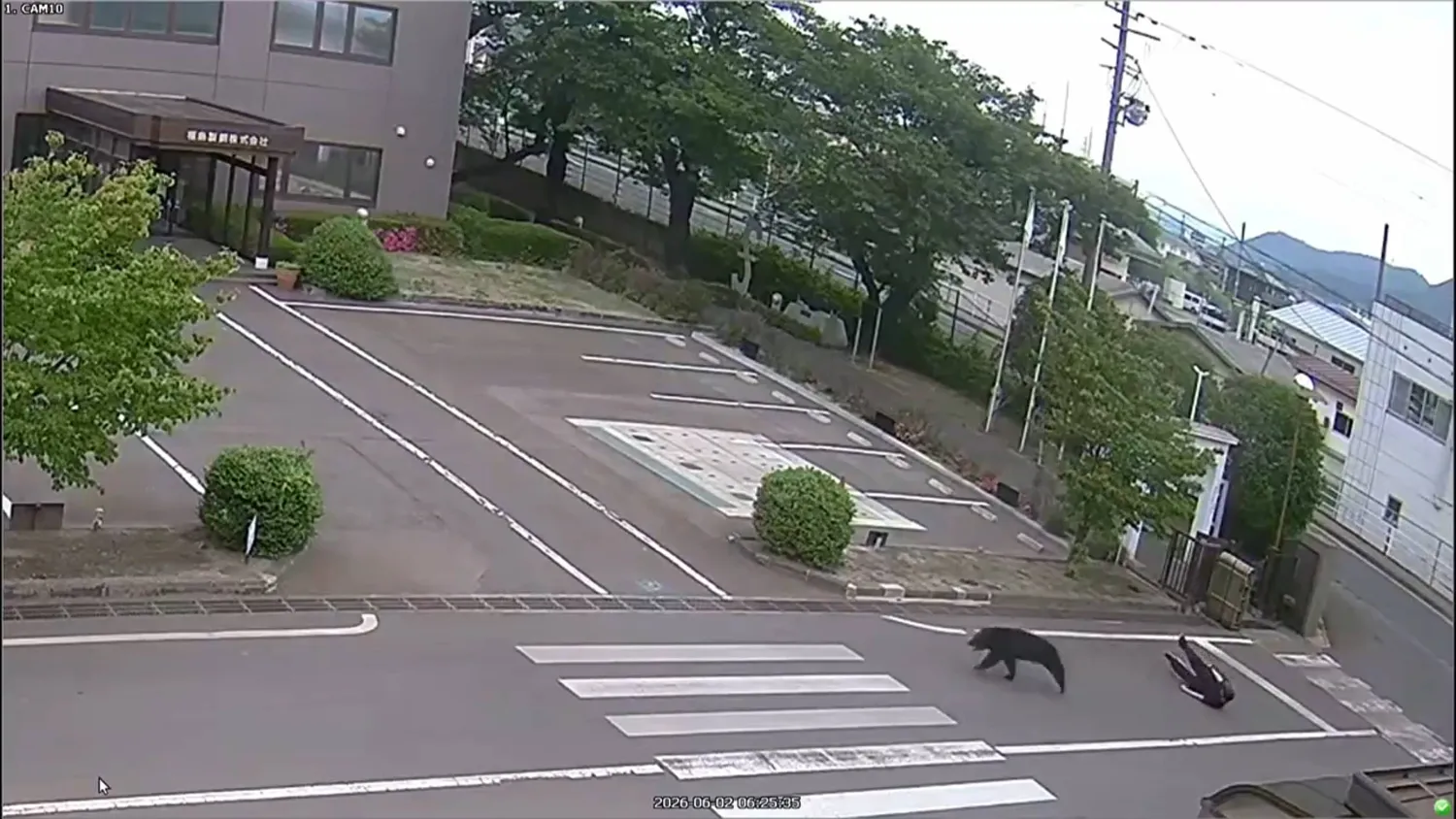 This image made from the security camera footage provided by the Fukushima Steel Works, shows a bear, center, running after attacking a person, right, on its premises in Fukushima, Japan, Tuesday, June 2, 2026. (FUKUSHIMA STEEL WORKS  via AP)