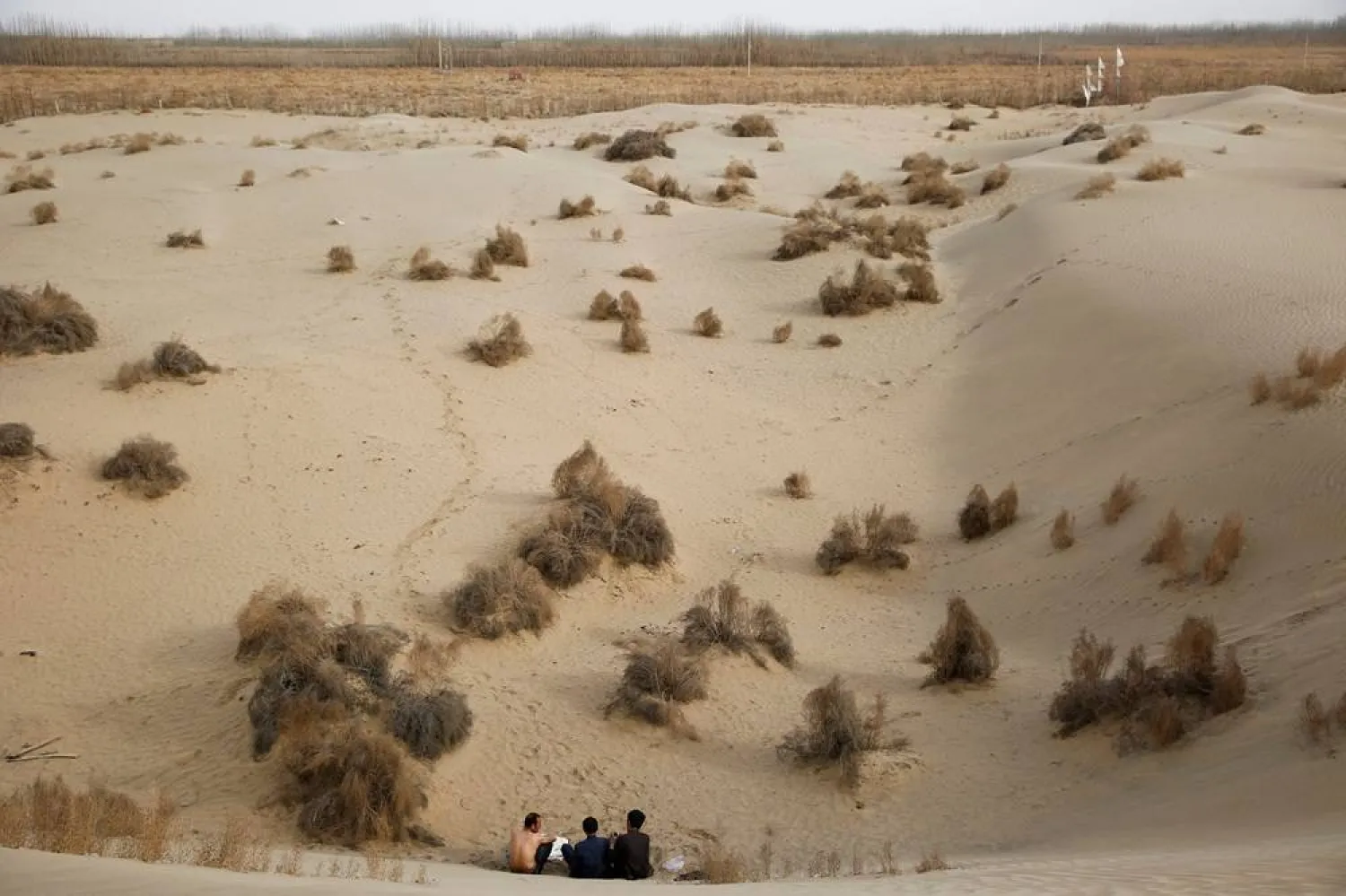 Men sit at the foot of a dune in Taklamakan Desert outside the village of Jiya near Hotan, Xinjiang Uighur Autonomous Region, China, March 21, 2017. (Reuters) 