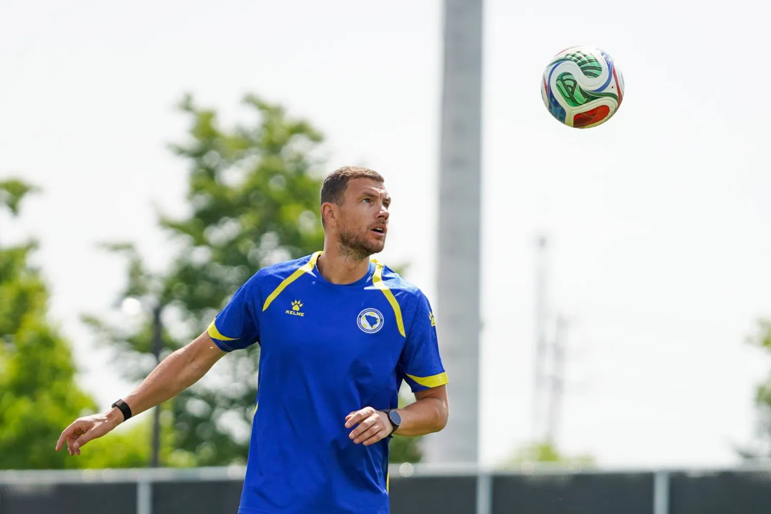 إدين دجيكو قائد منتخب البوسنة المخضرم (د.ب.أ)