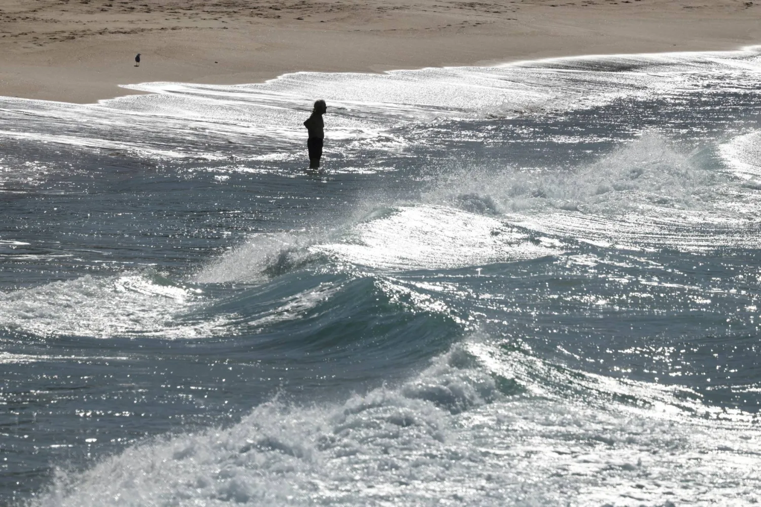 A swimmer stands at the water’s edge at Coogee Beach in the days following a shark attack on Saturday, in Sydney, Australia, June 16, 2026. REUTERS/Hollie Adams.