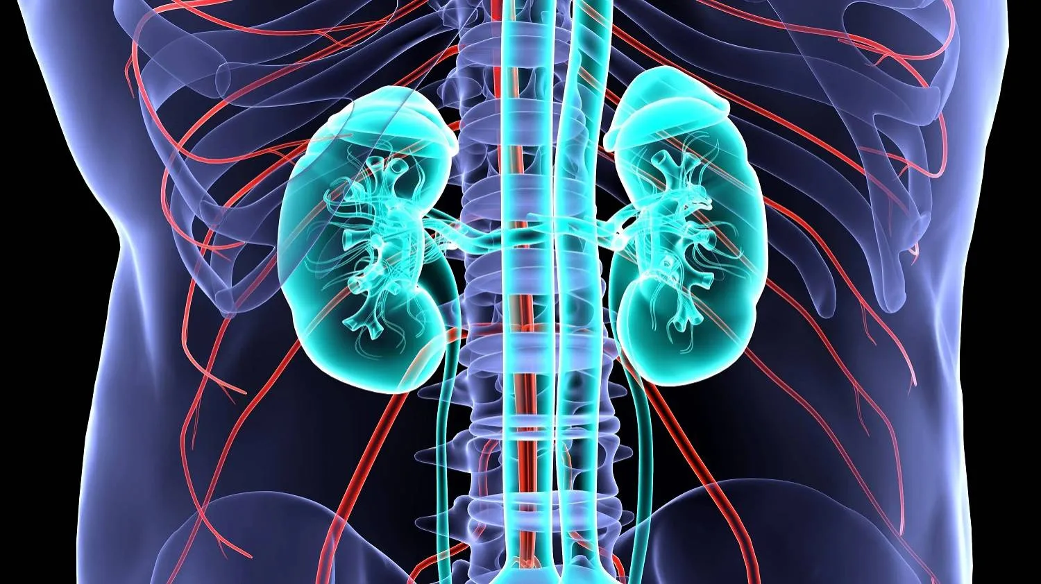 أمراض الكلى يمكن أن تتسبب في مضاعفات خطيرة (مايو كلينك)